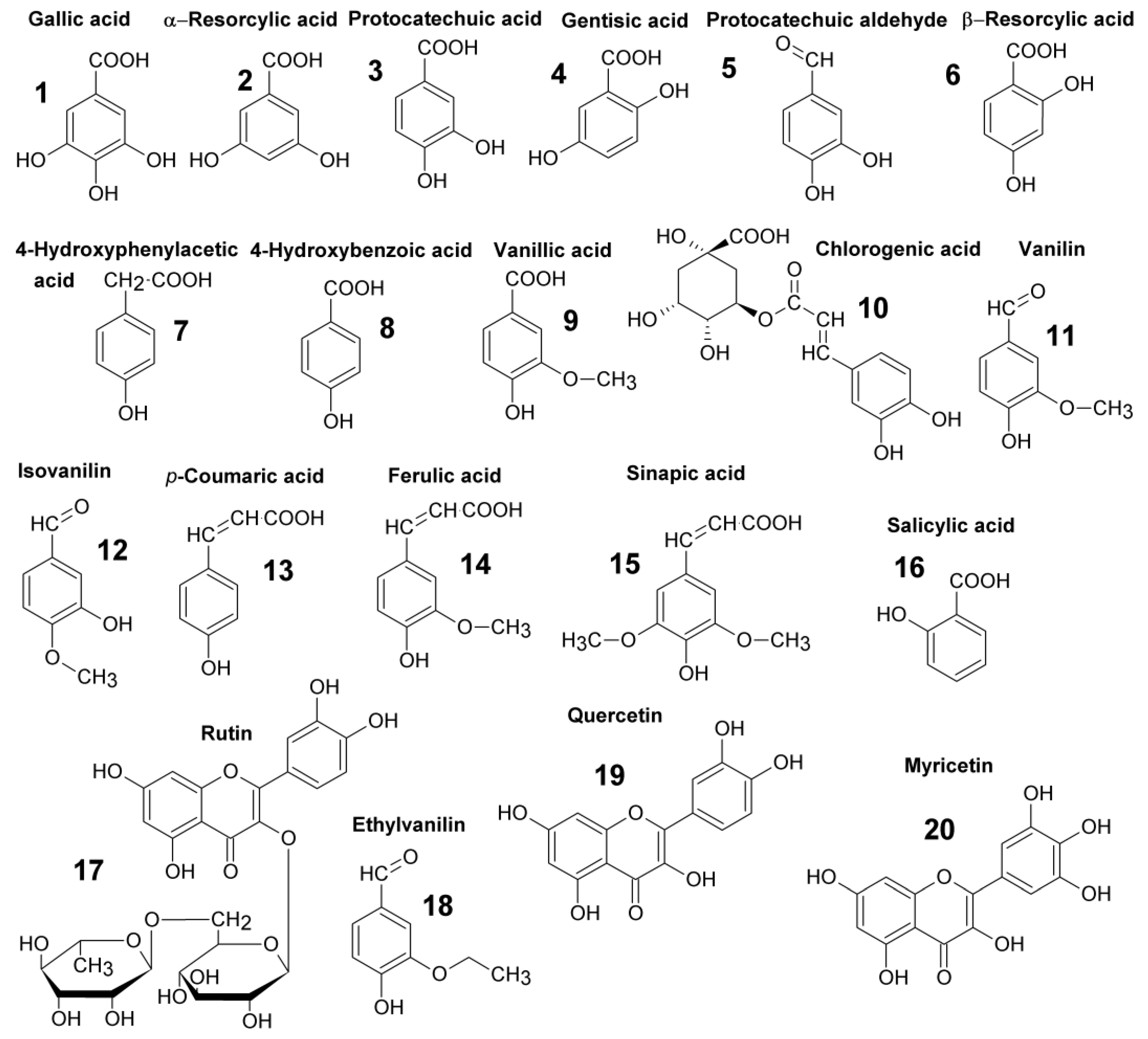 Molecules 28 00714 g001