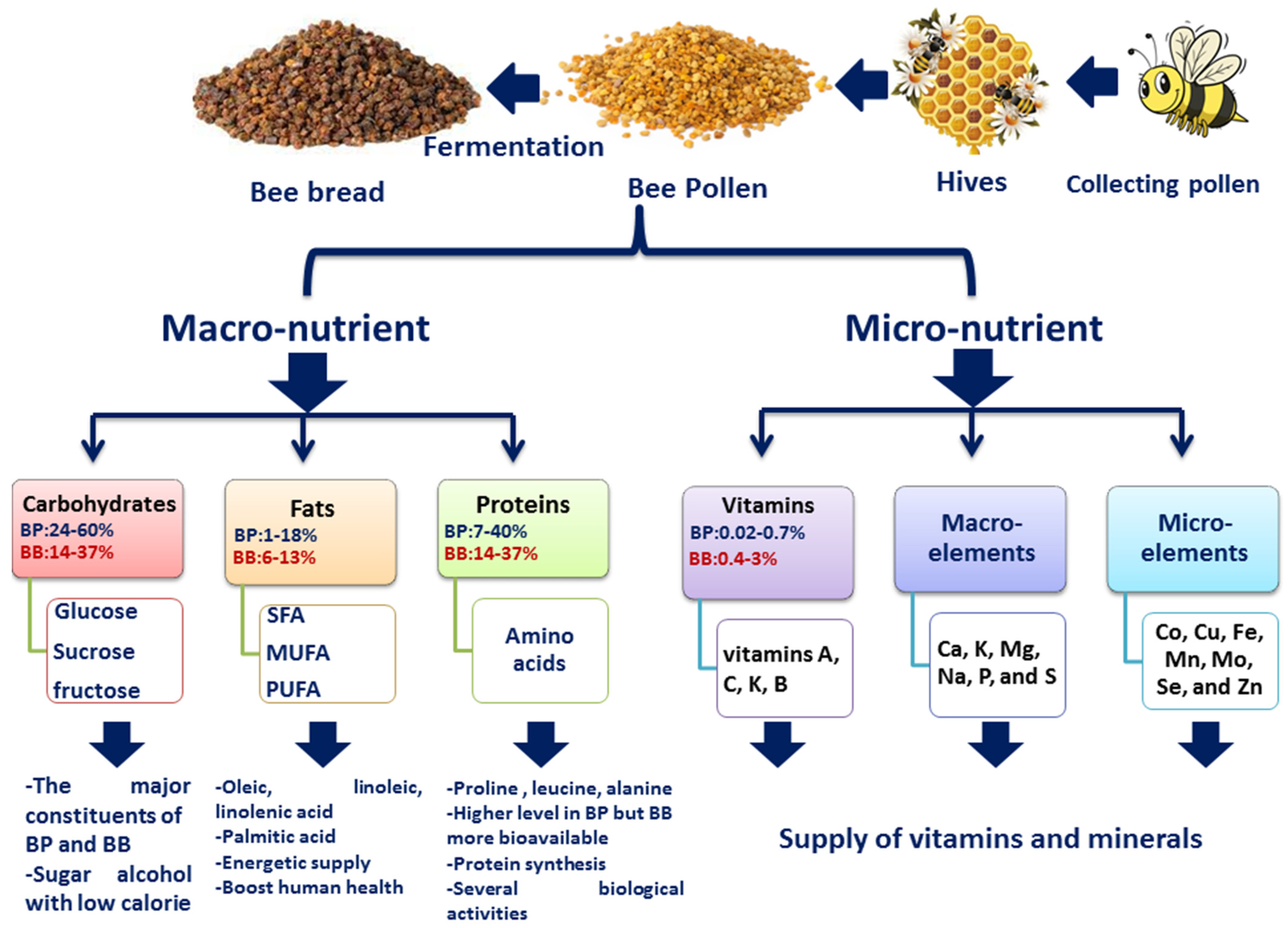 Molecules 28 00715 g001
