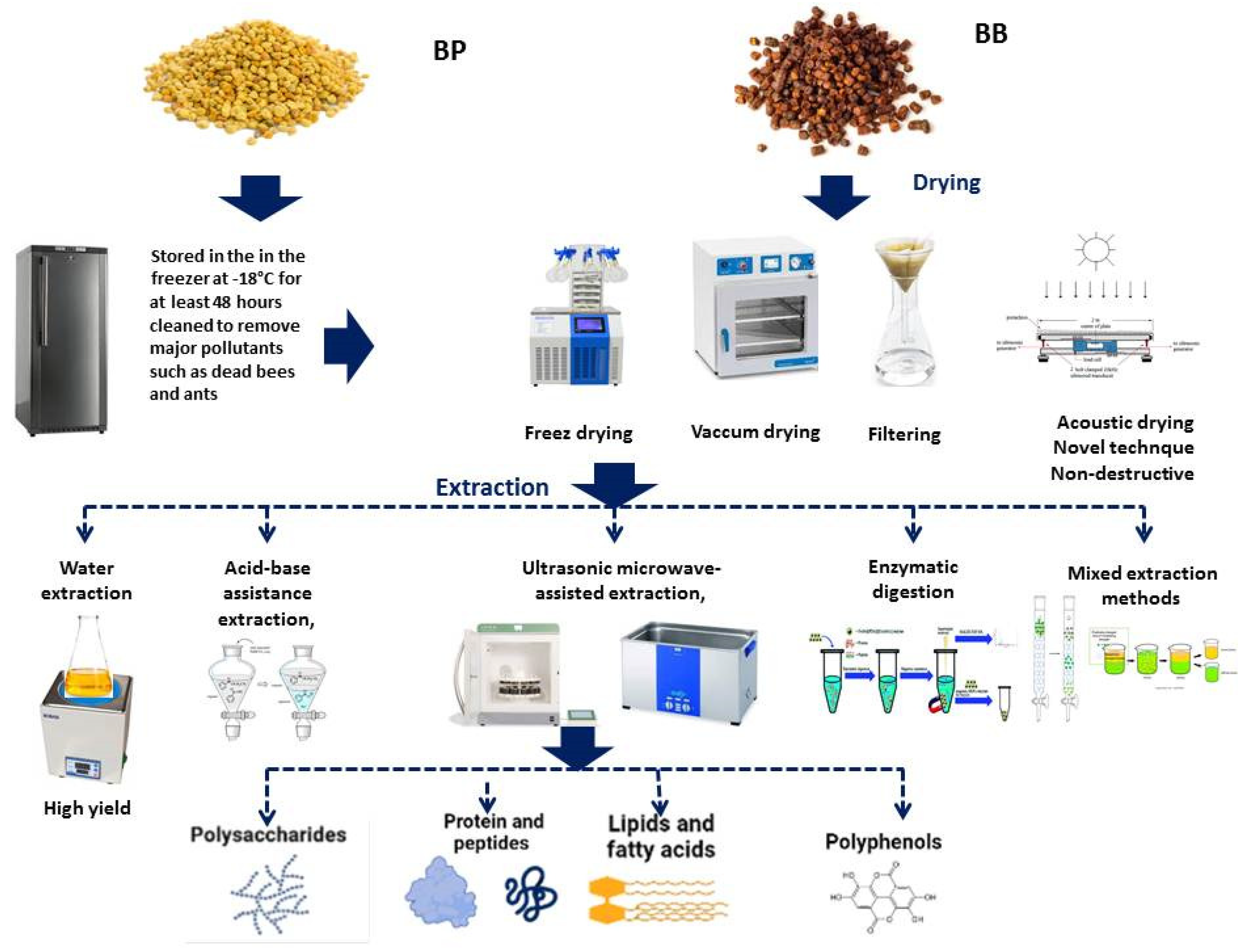 Molecules 28 00715 g004