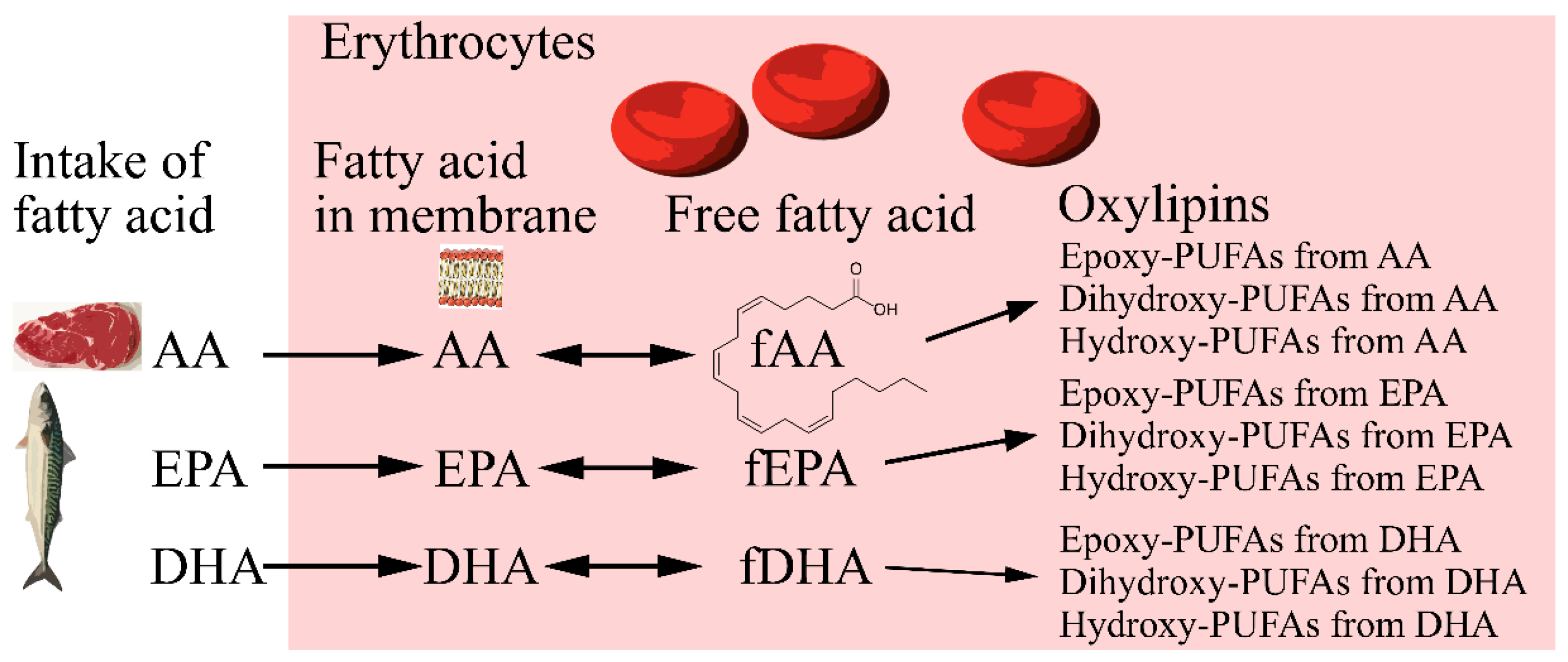 Molecules 28 00717 g003 Molecules 28 00717 g003