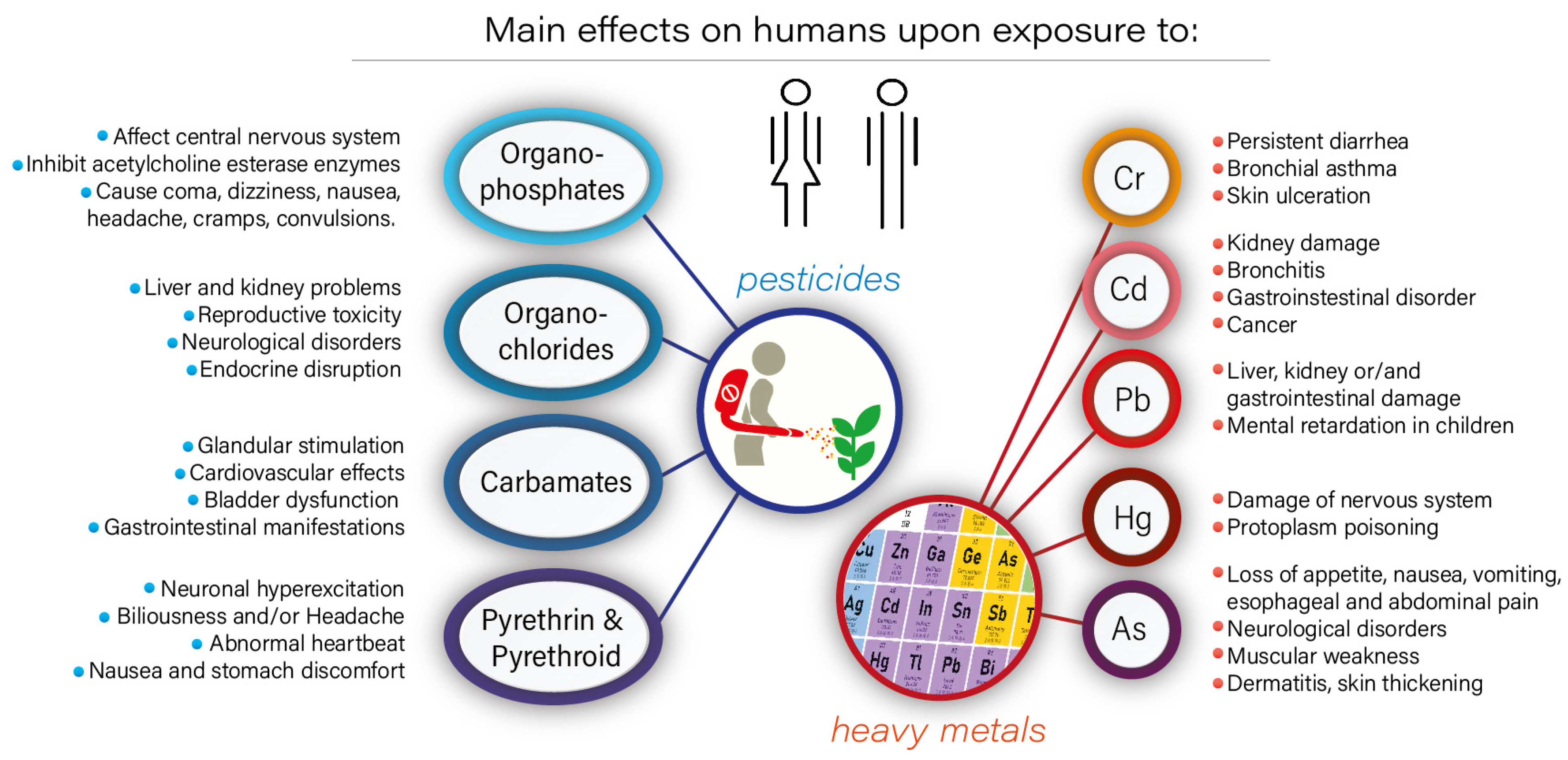 Molecules 28 00719 g001