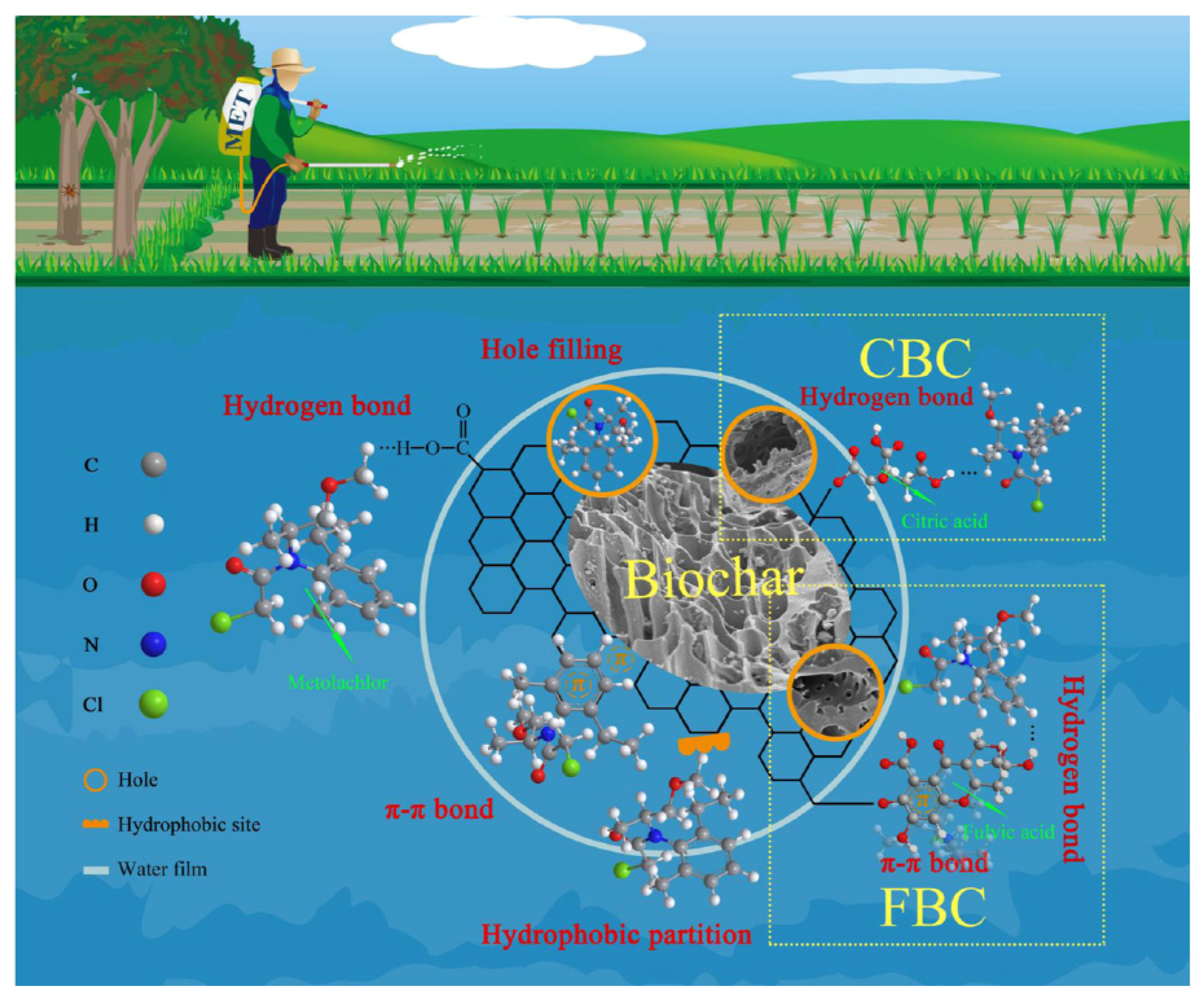 Molecules 28 00719 g003