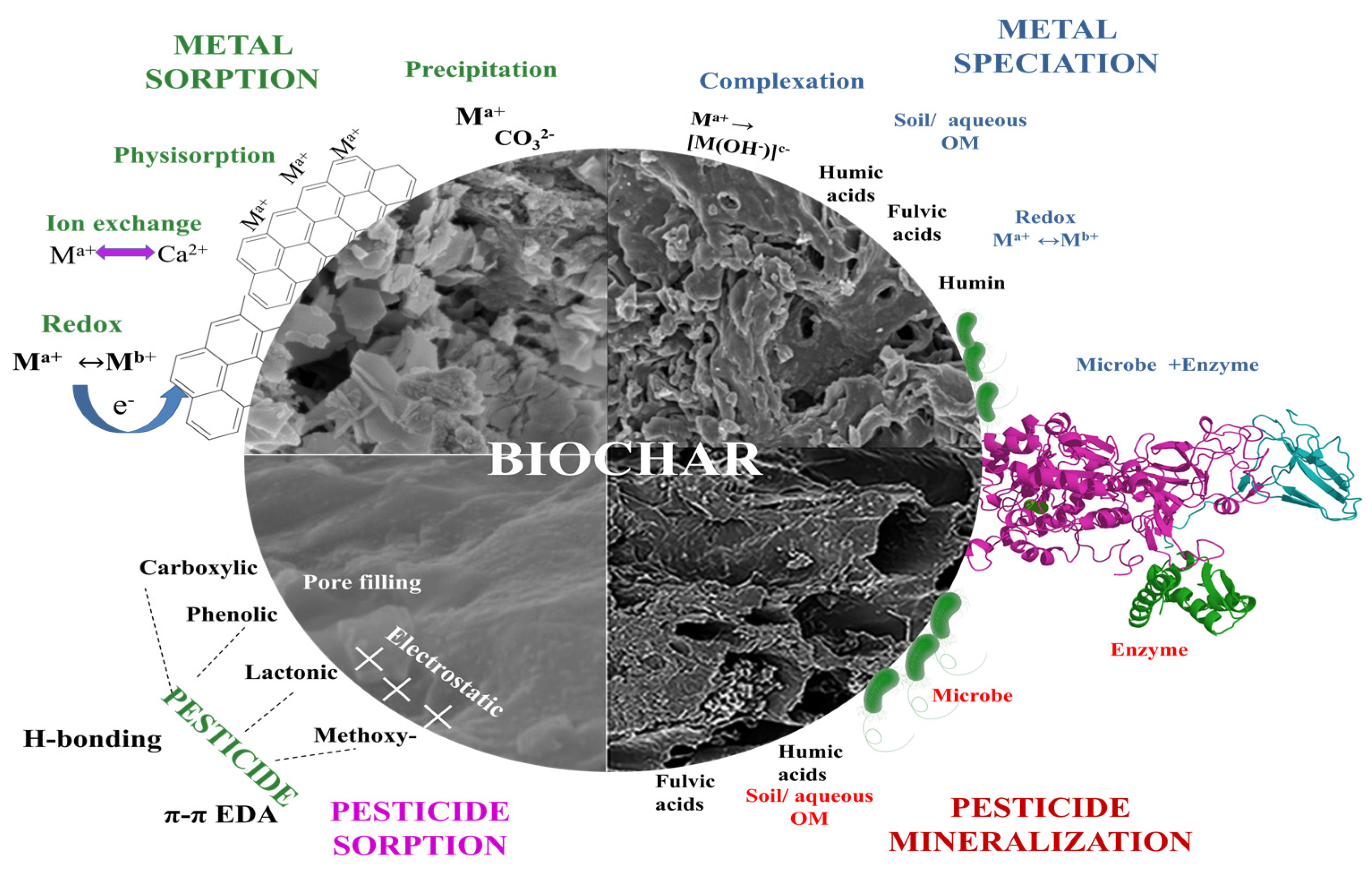 Molecules 28 00719 g004