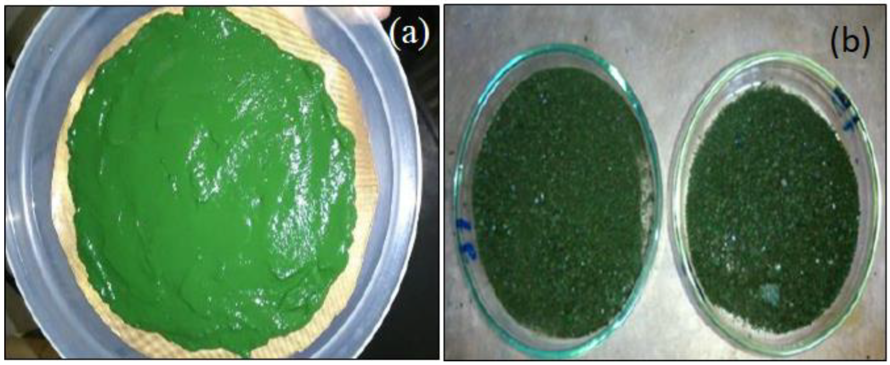 Molecules 28 00720 g001