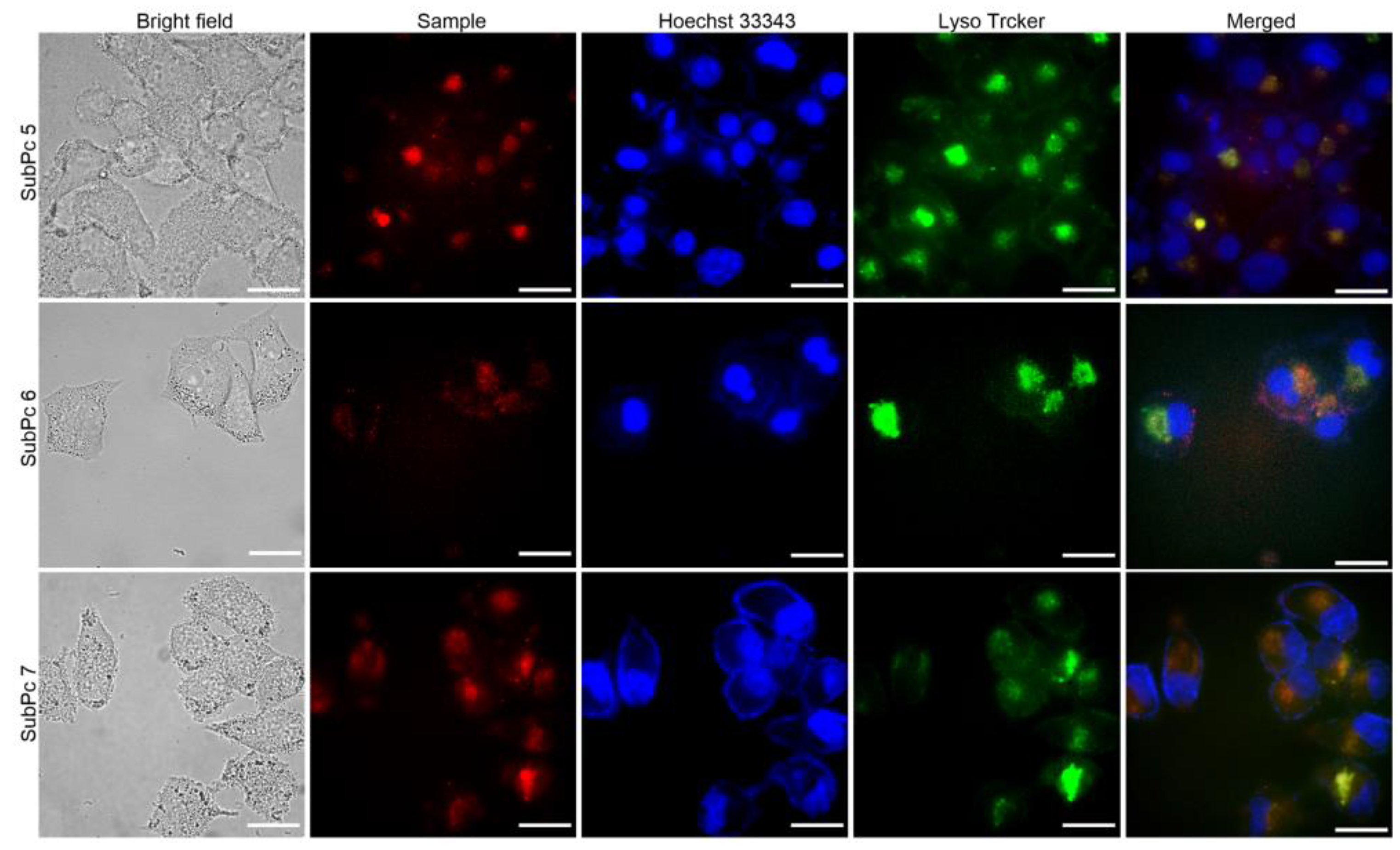 Molecules 28 00725 g005