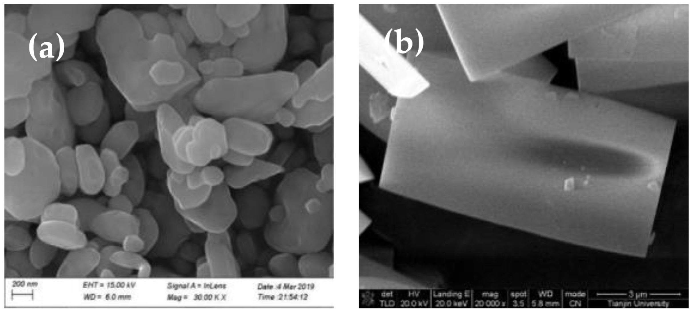 Molecules 28 00726 g002