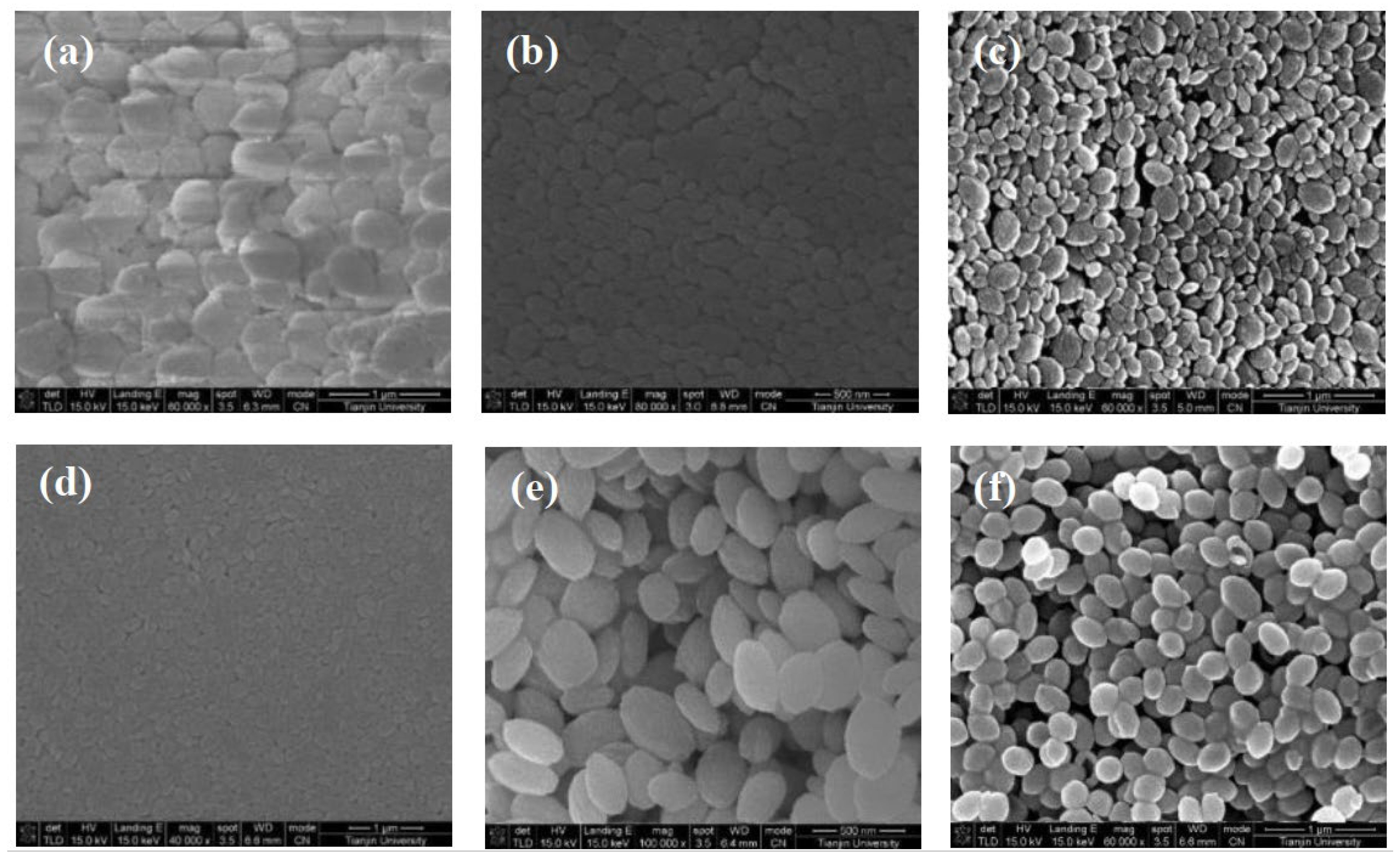 Molecules 28 00726 g007