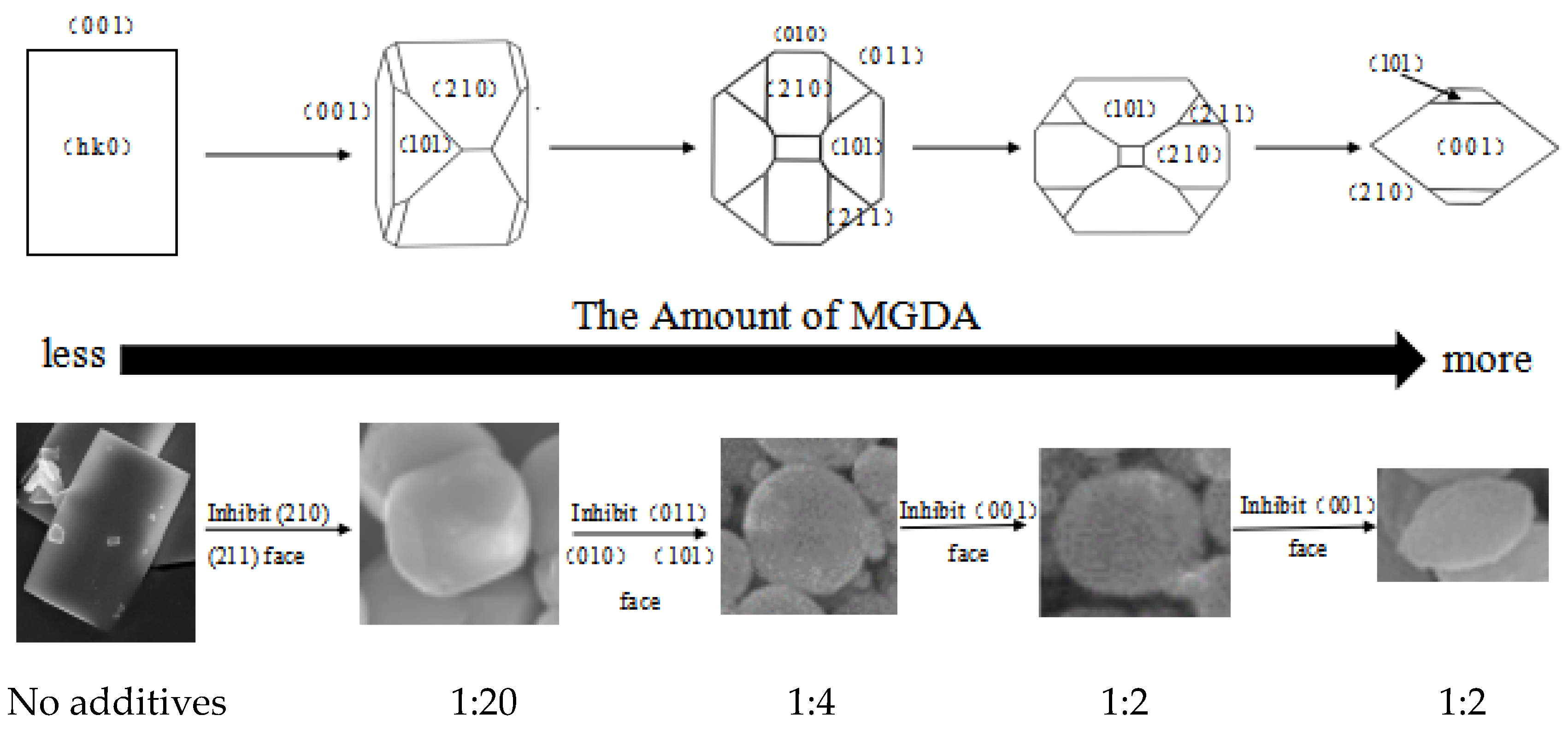 Molecules 28 00726 g014