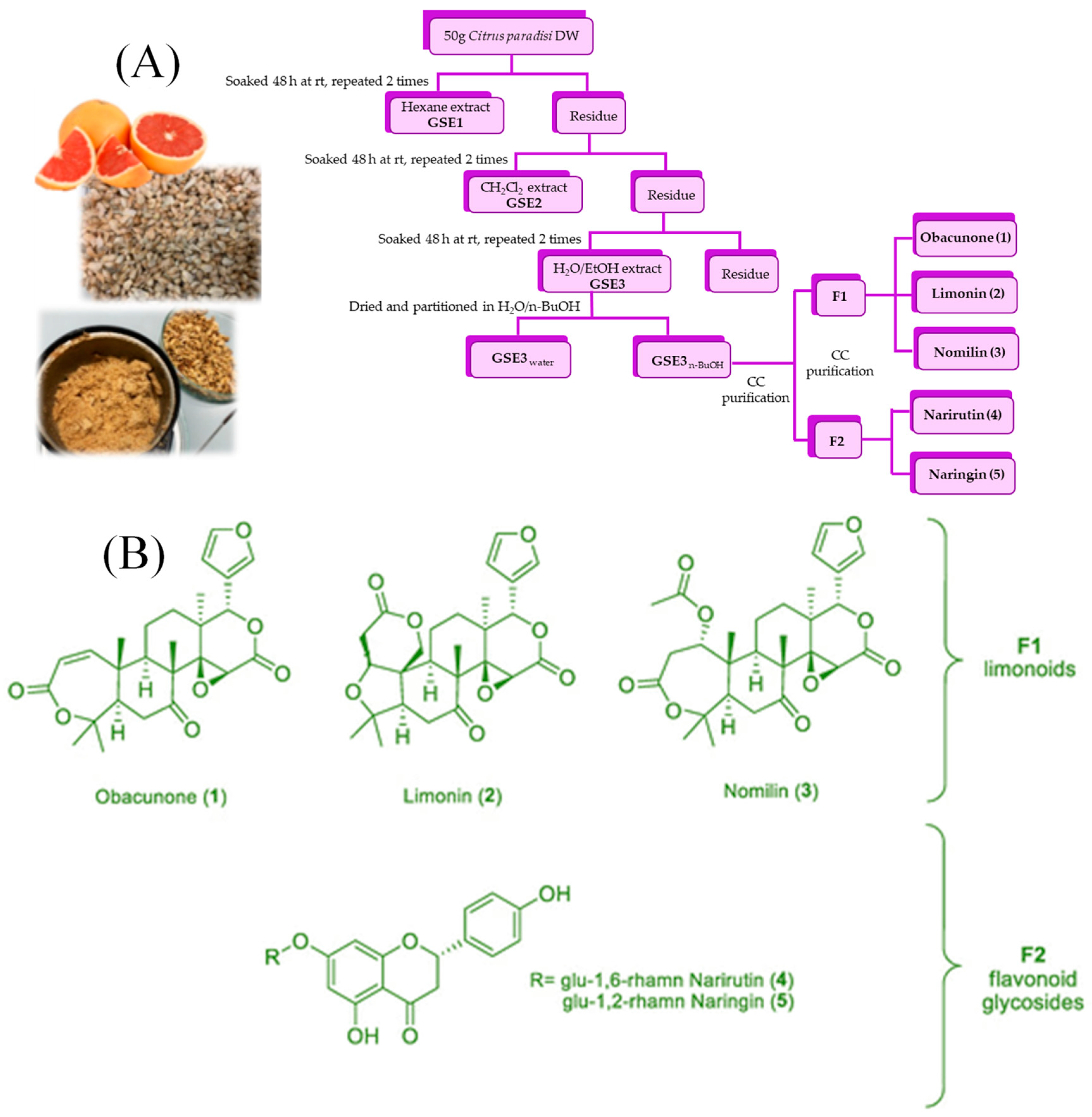 Molecules 28 00730 g002