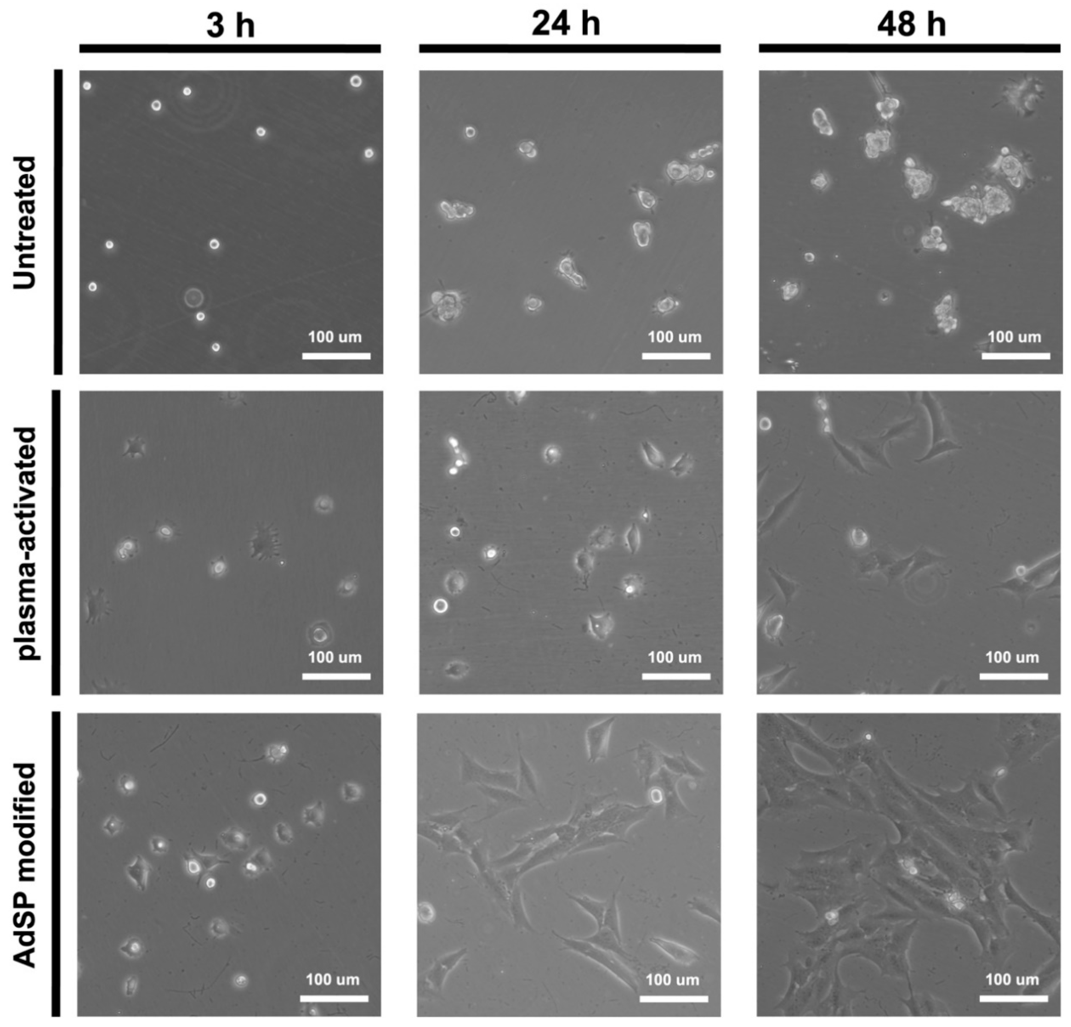 Molecules 28 00732 g007