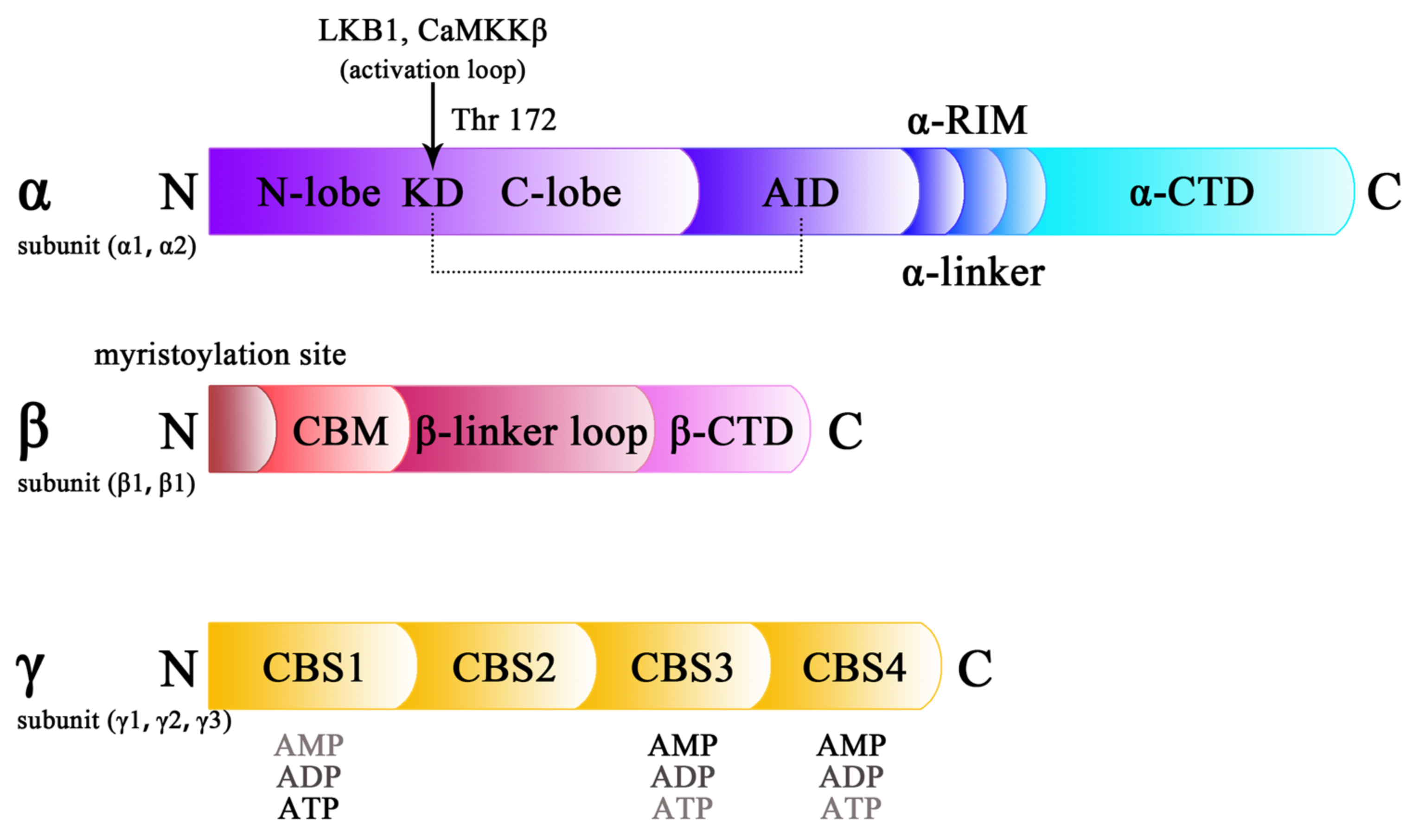 Molecules 28 00740 g001