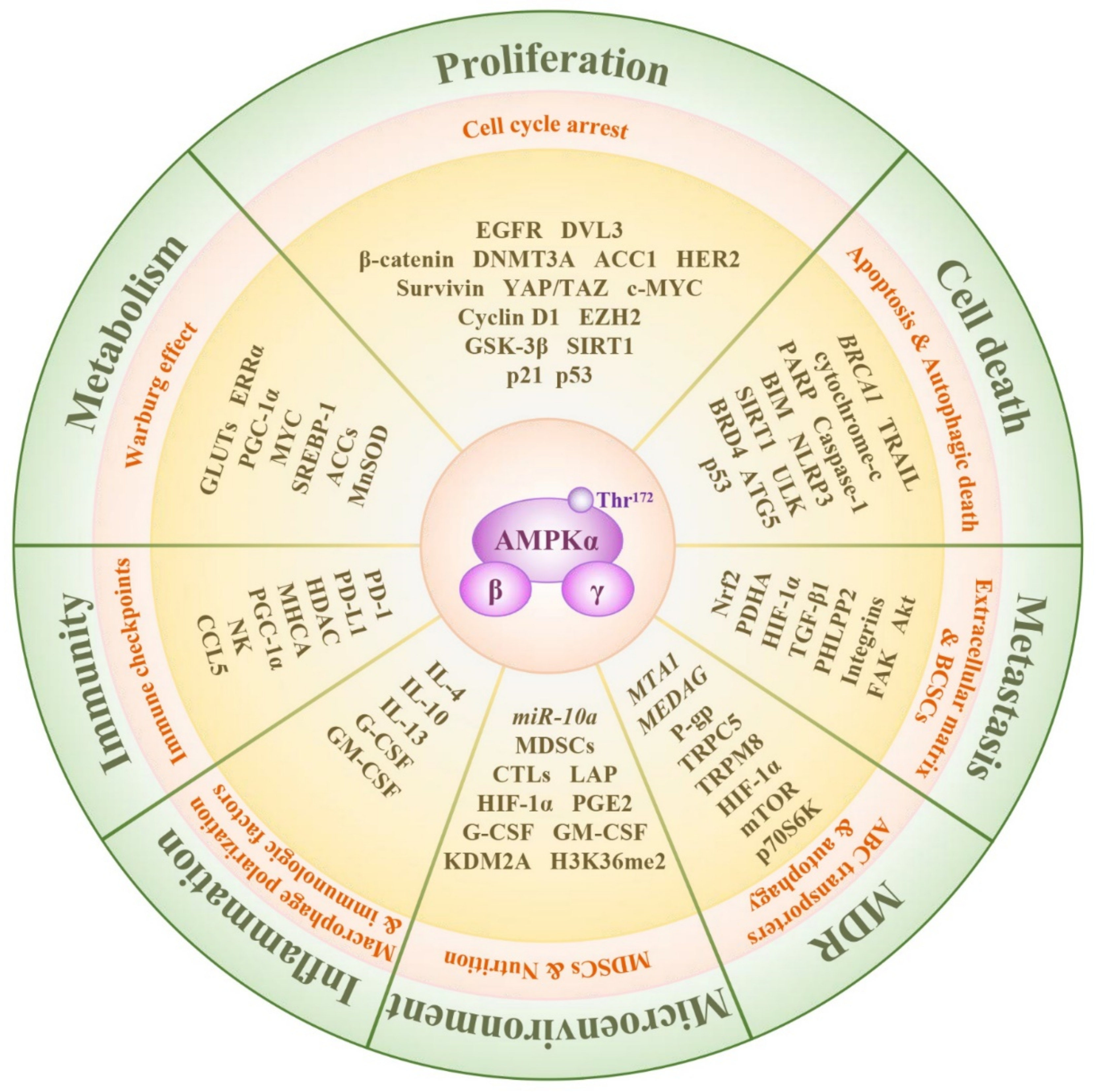 Molecules 28 00740 g002