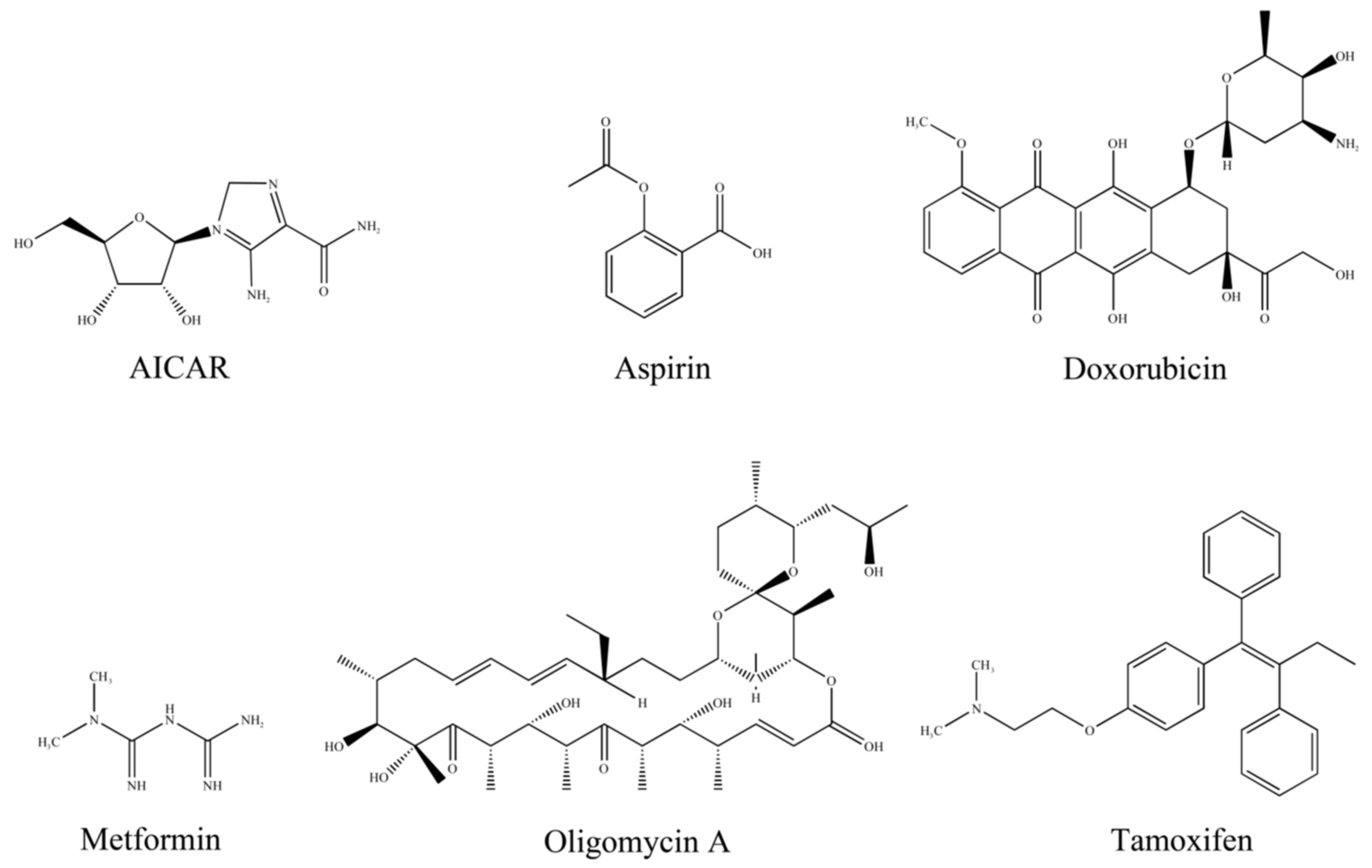 Molecules 28 00740 g003