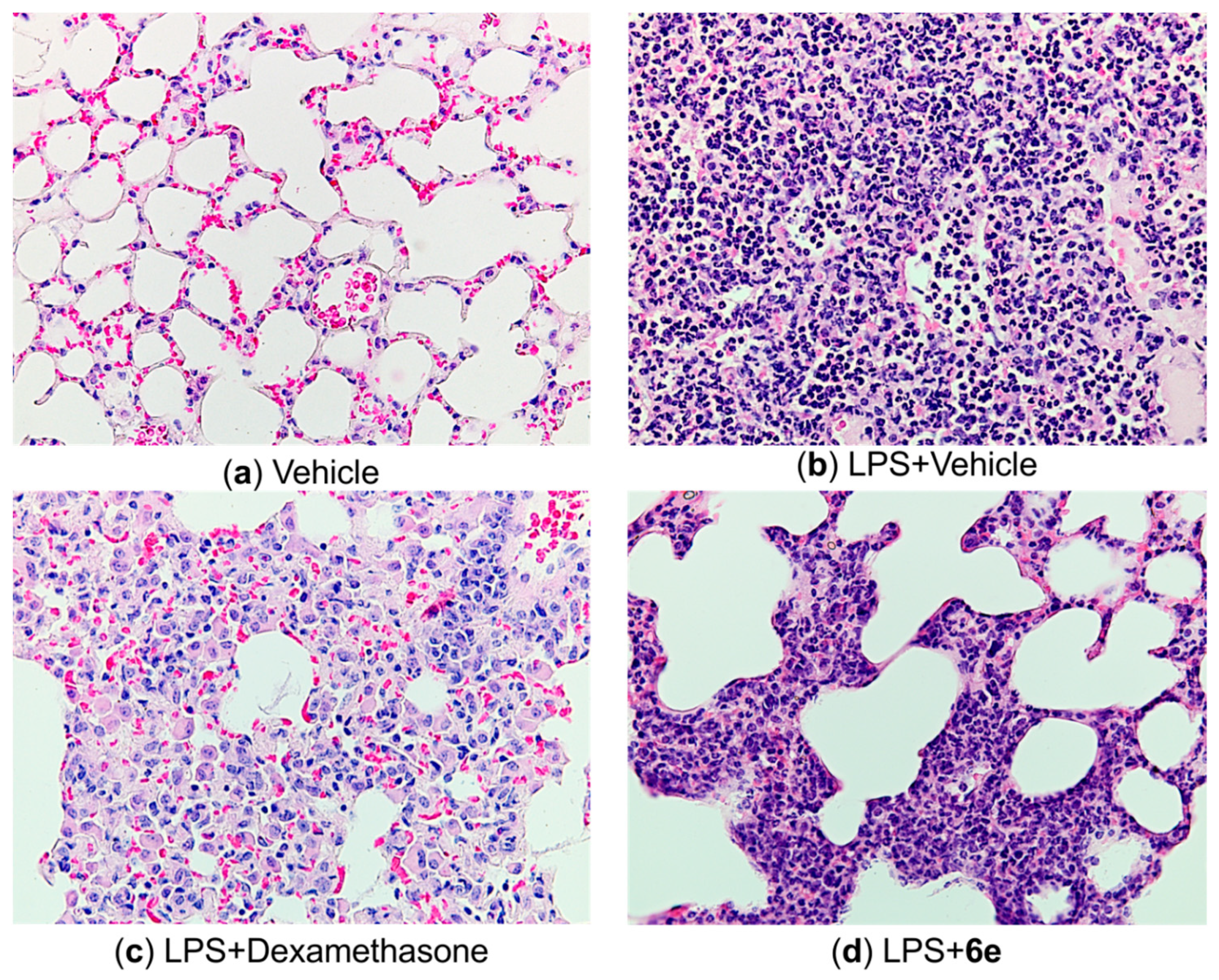 Molecules 28 00741 g006