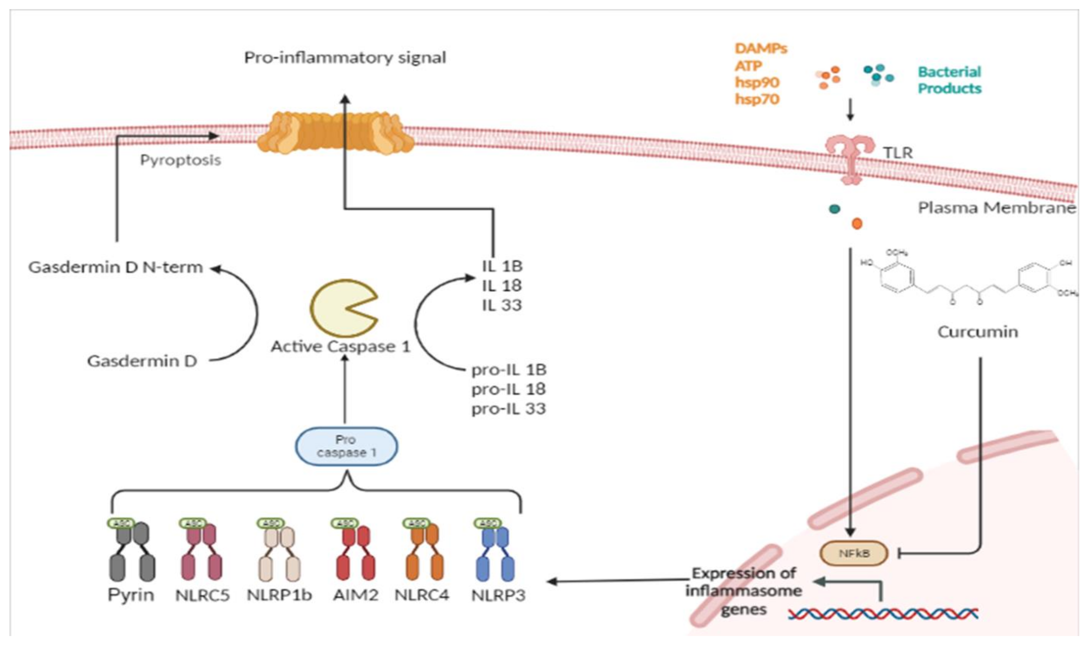 Molecules 28 00742 g001