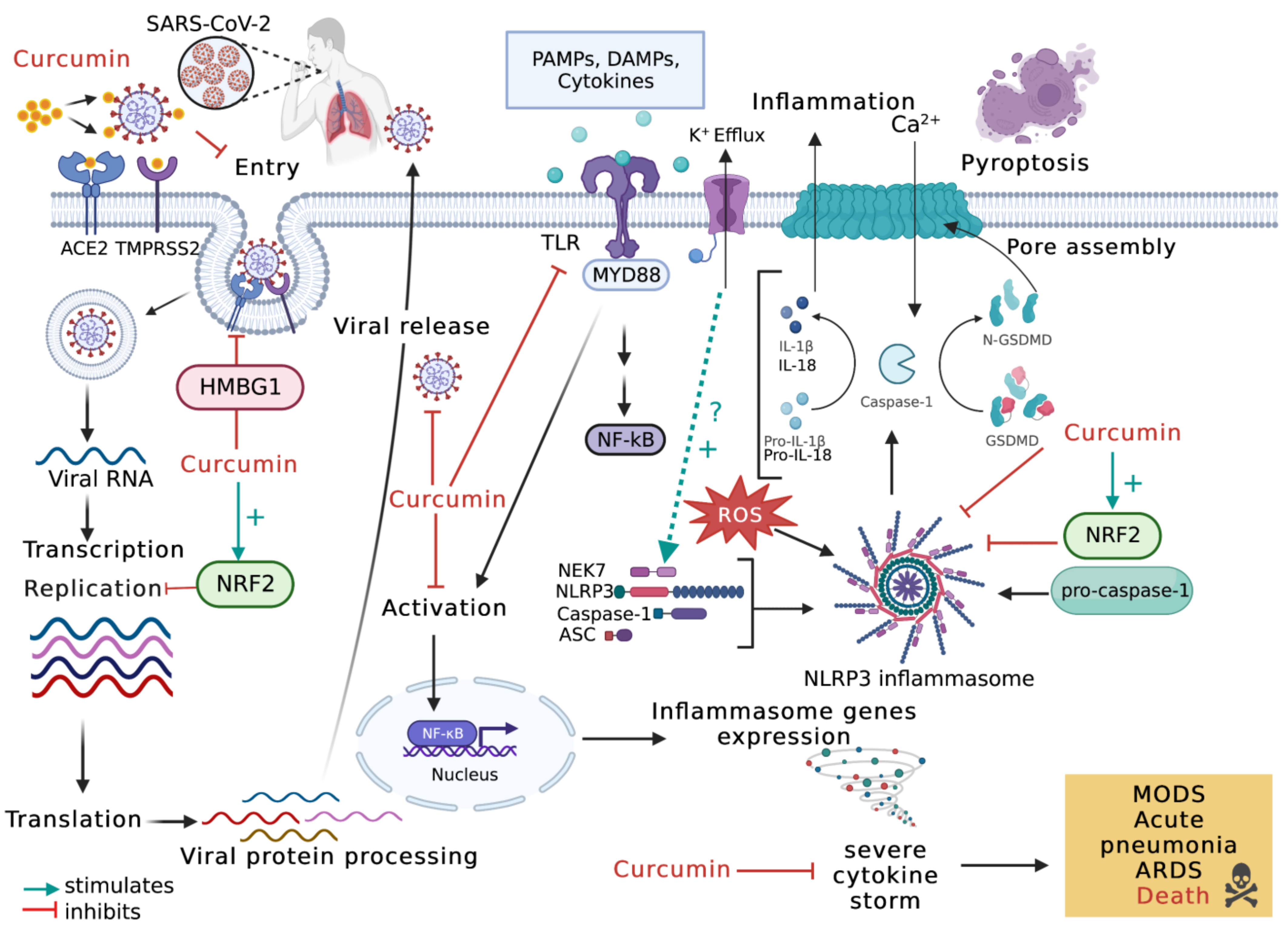 Molecules 28 00742 g002