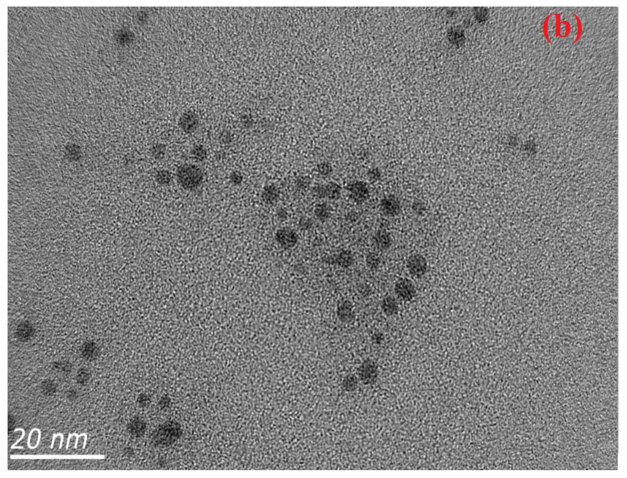 Molecules 28 00743 g005b