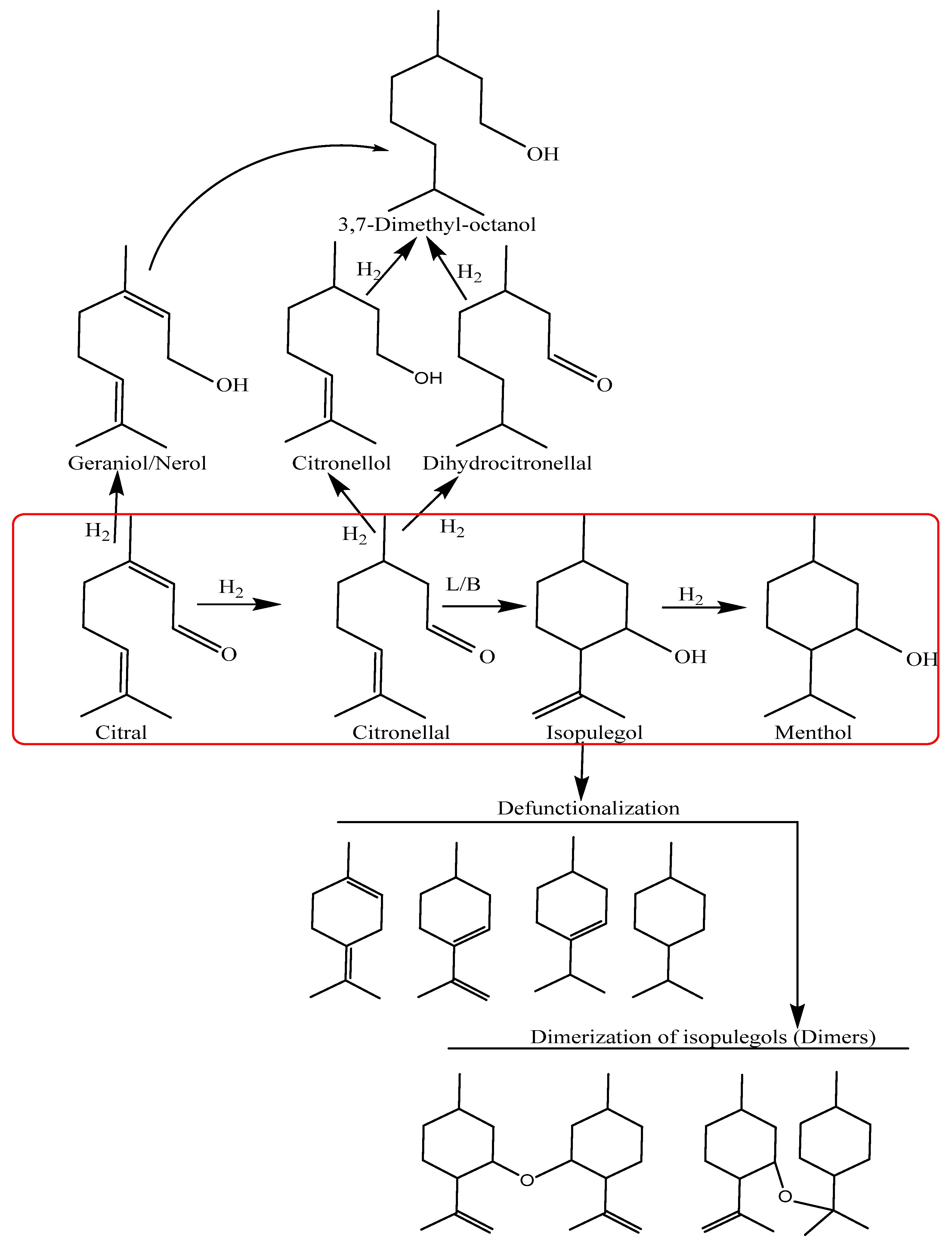 Molecules 28 00743 sch001