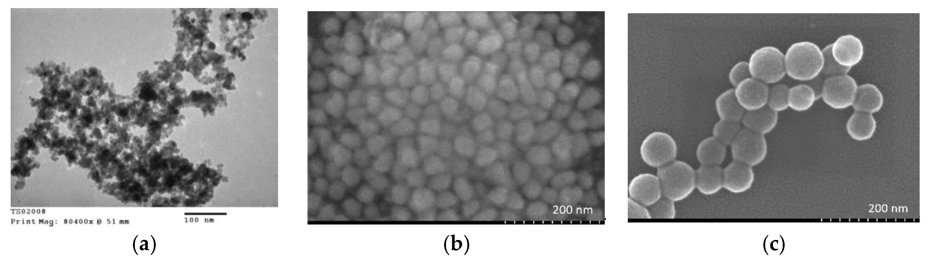 Molecules 28 00749 g002