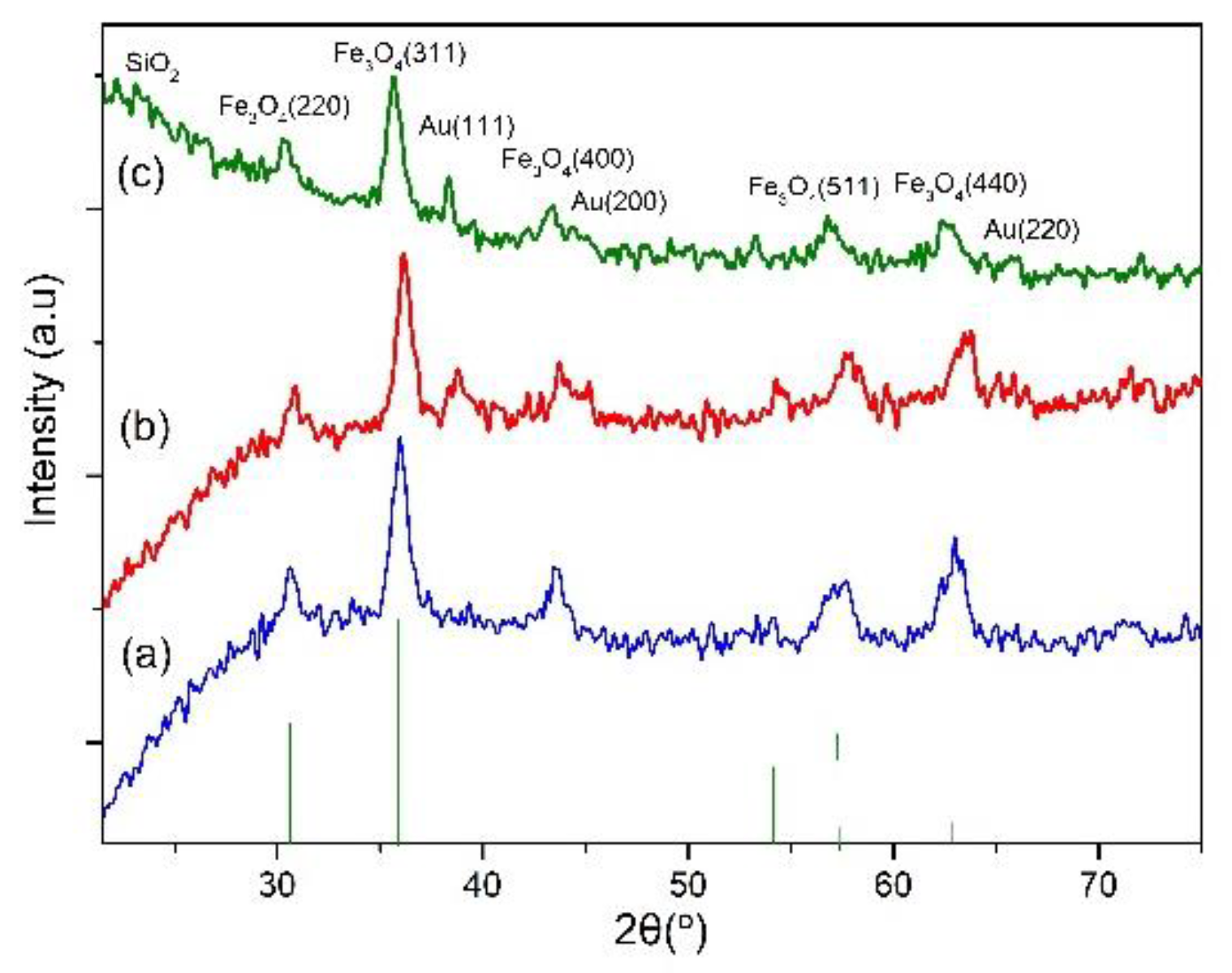Molecules 28 00749 g004