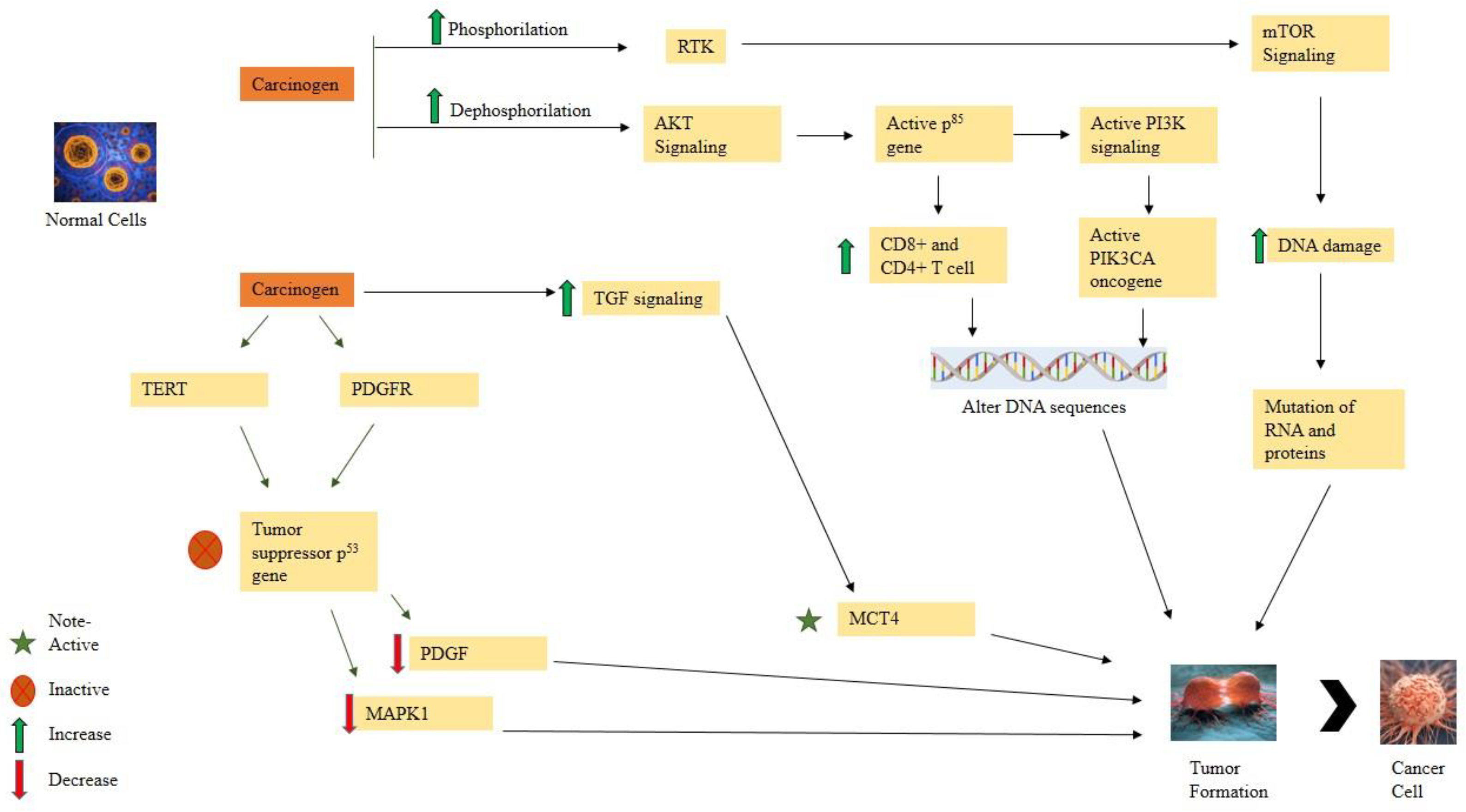 Molecules 28 00750 g002