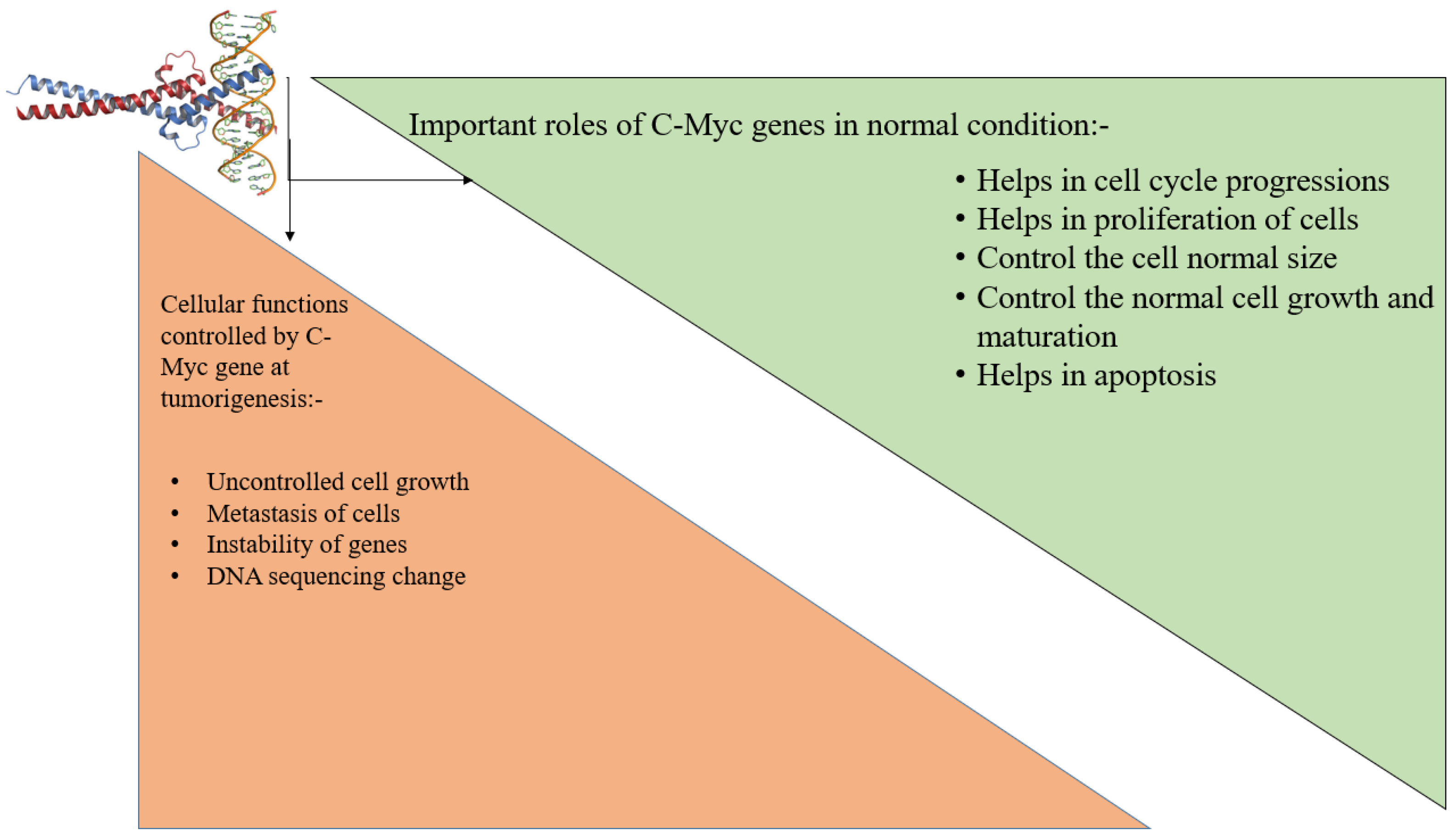 Molecules 28 00750 g003