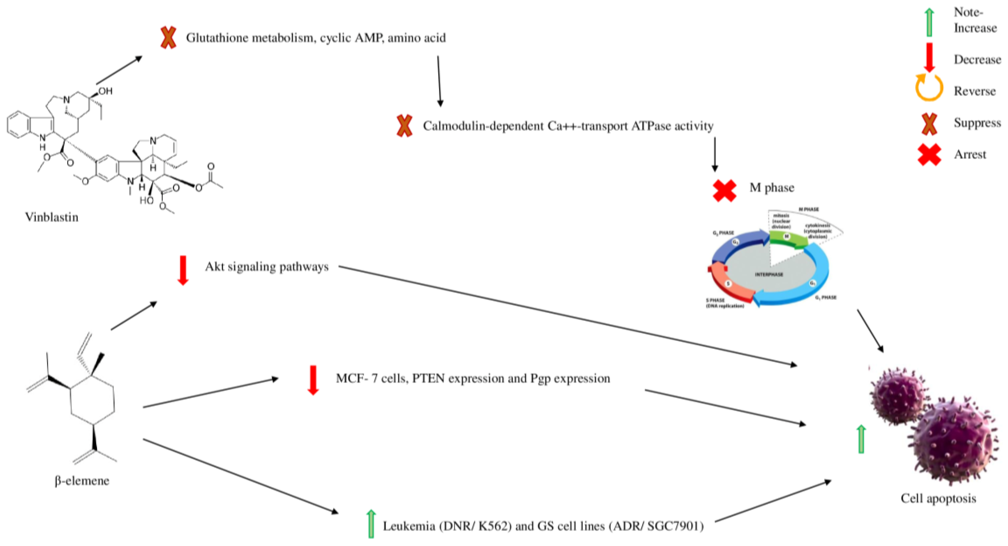 Molecules 28 00750 g006