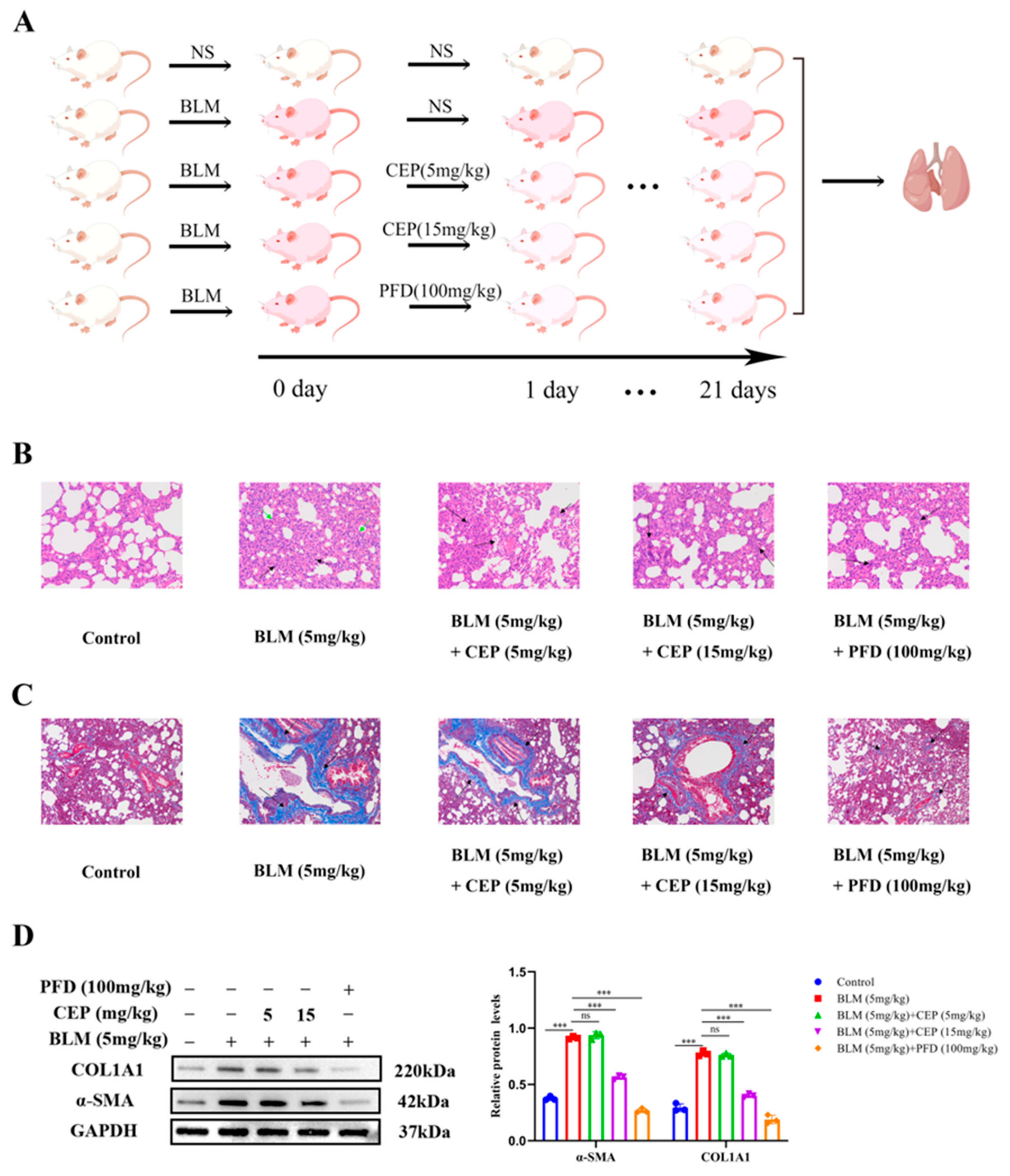 Molecules 28 00753 g001