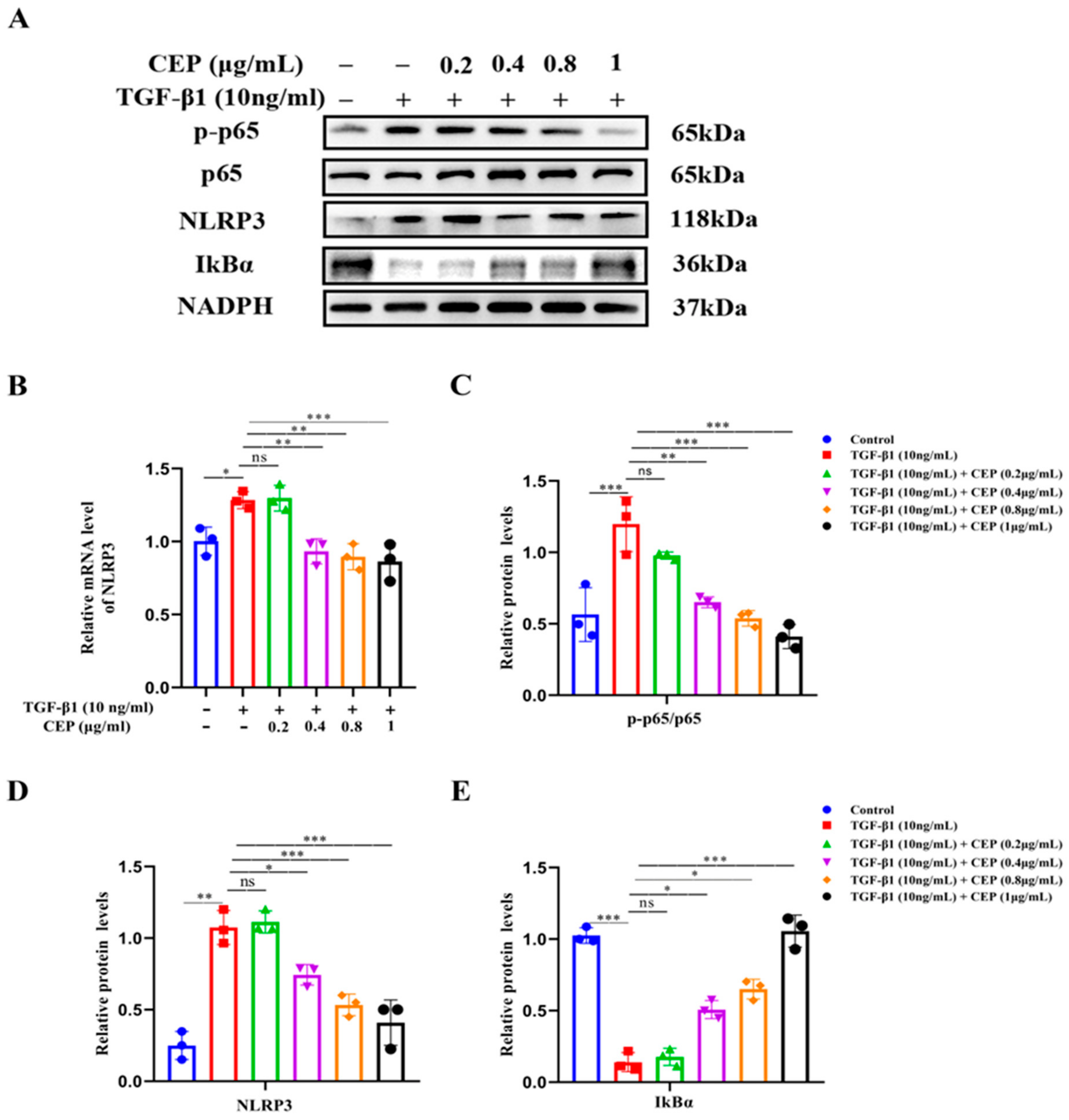 Molecules 28 00753 g004