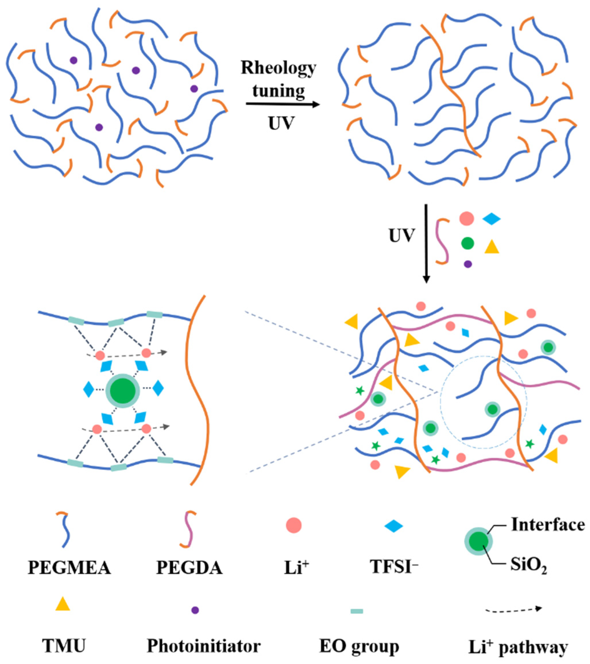 Molecules 28 00756 g001
