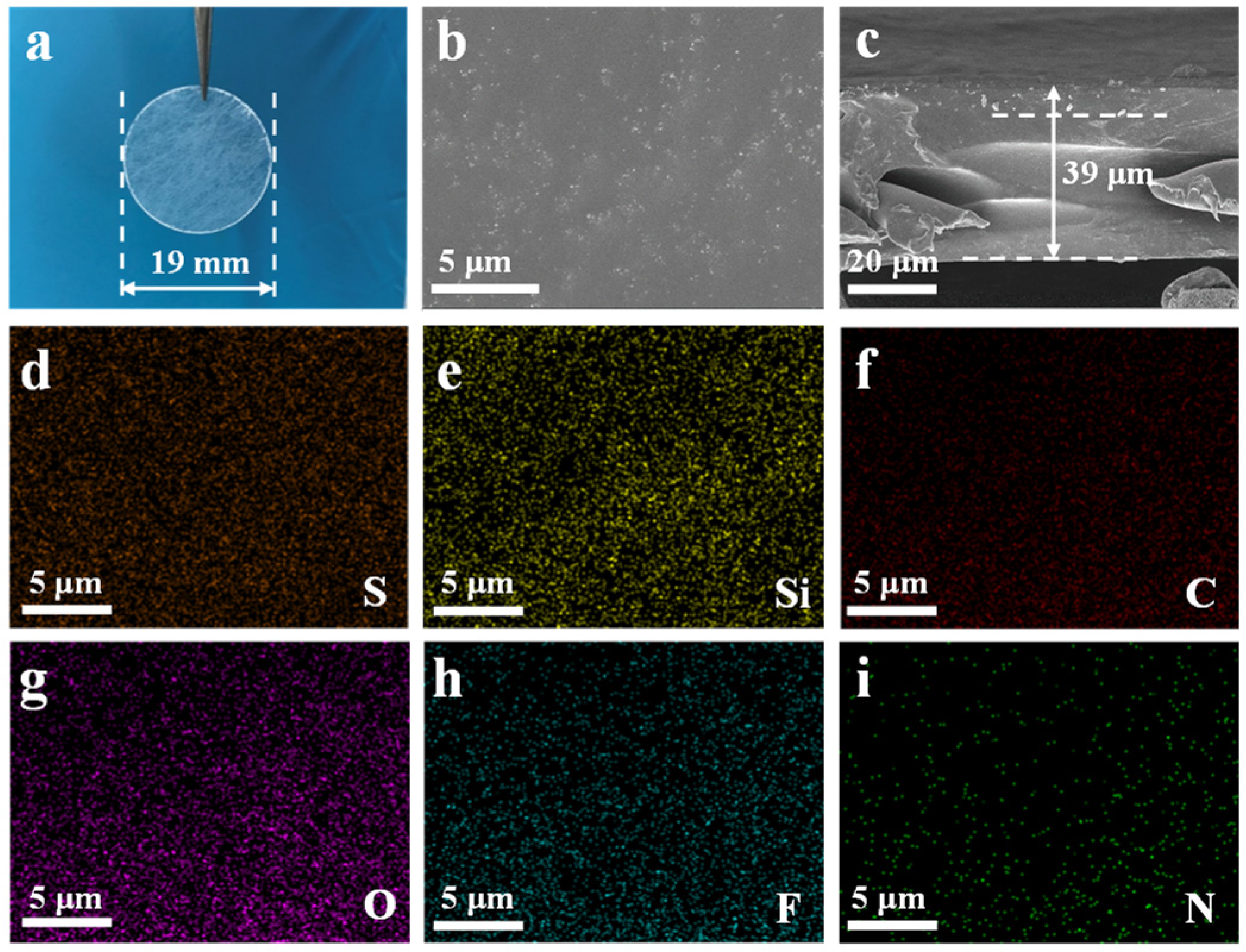 Molecules 28 00756 g002