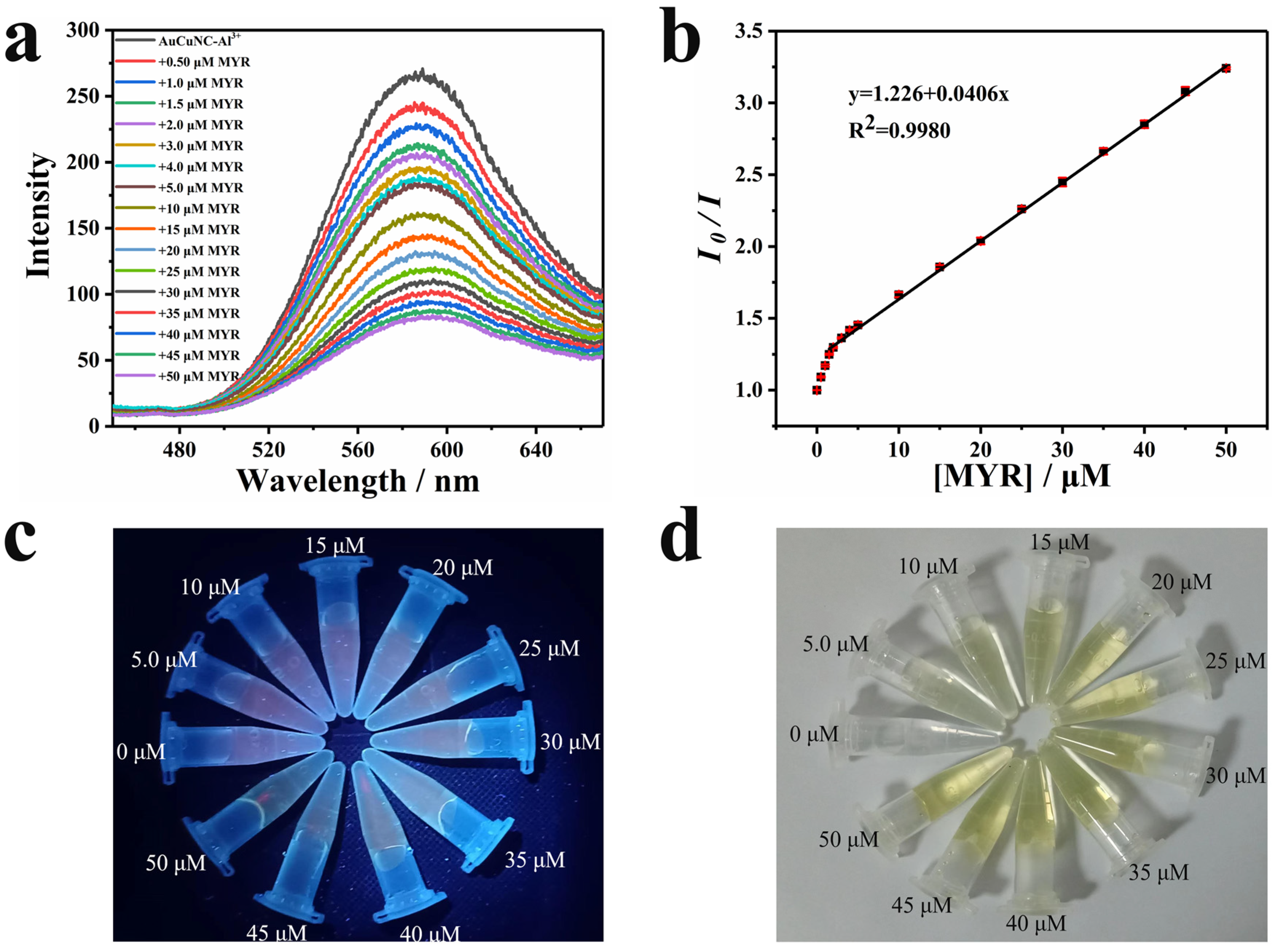 Molecules 28 00758 g002