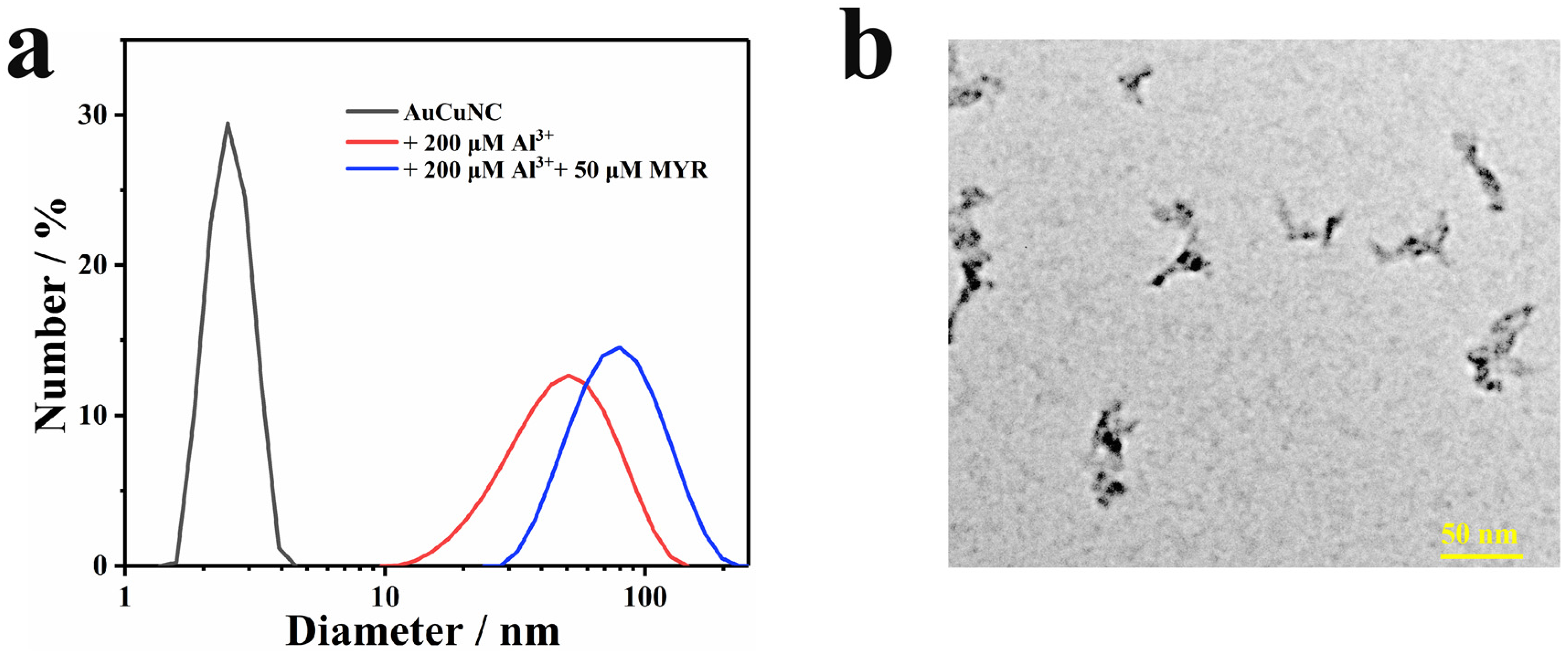 Molecules 28 00758 g004