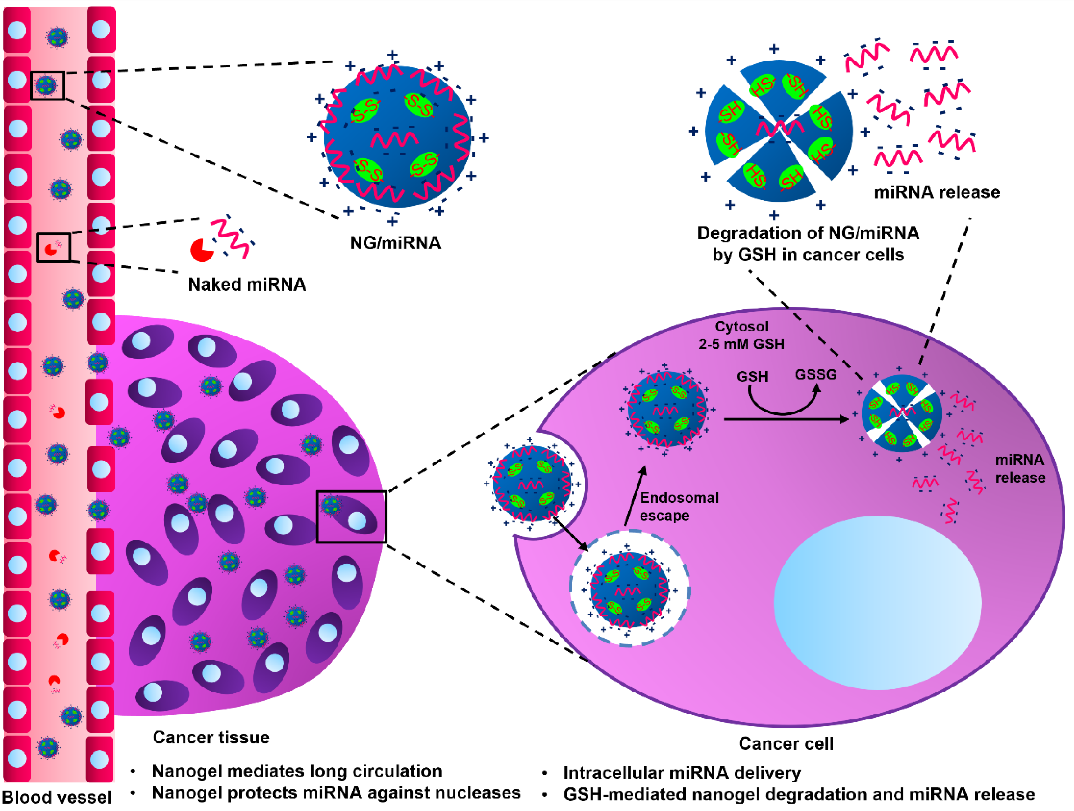 Molecules 28 00761 g001