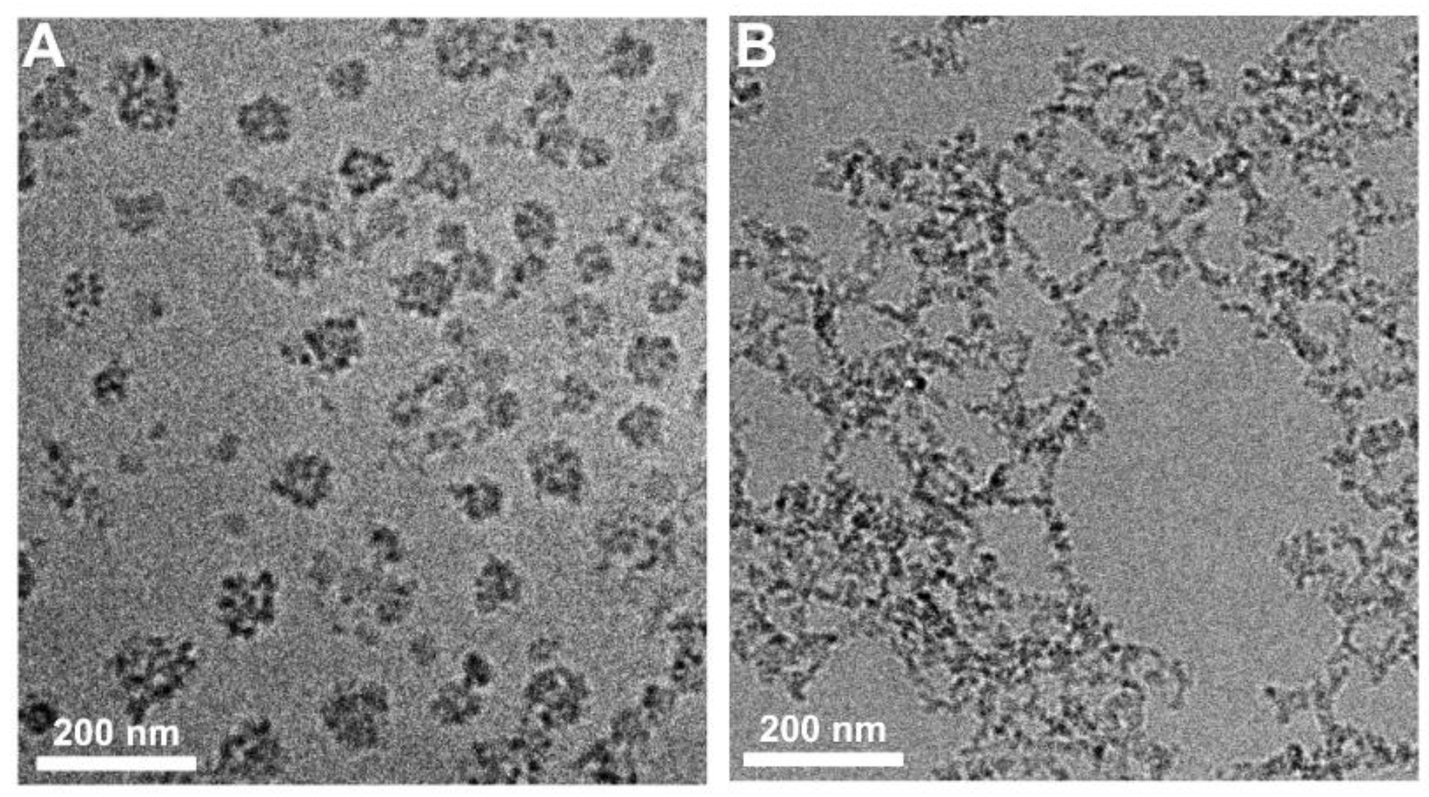 Molecules 28 00761 g003