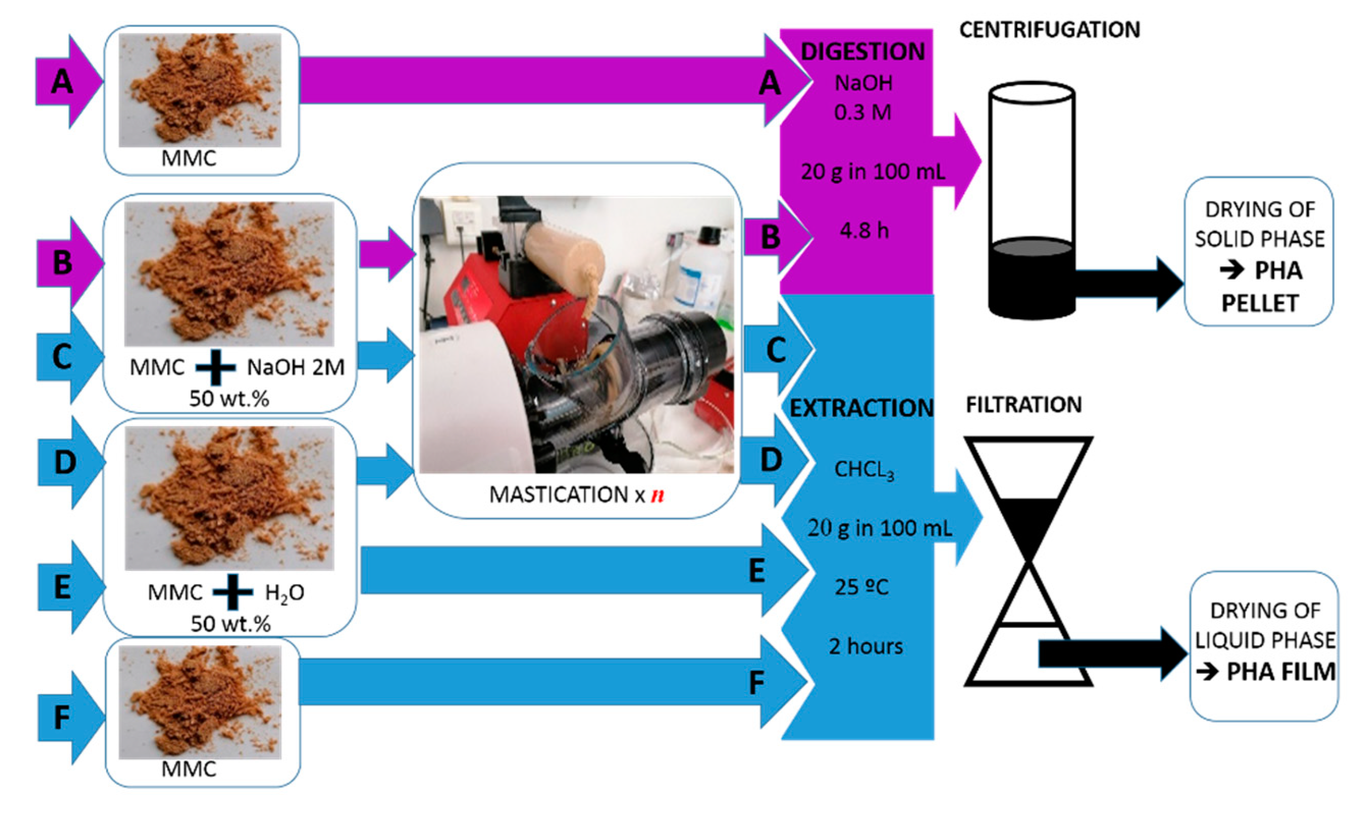 Molecules 28 00767 g002