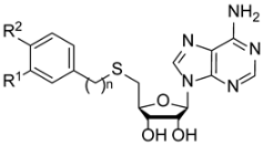 Molecules 28 00768 i001 Molecules 28 00768 i001