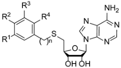 Molecules 28 00768 i002 Molecules 28 00768 i002