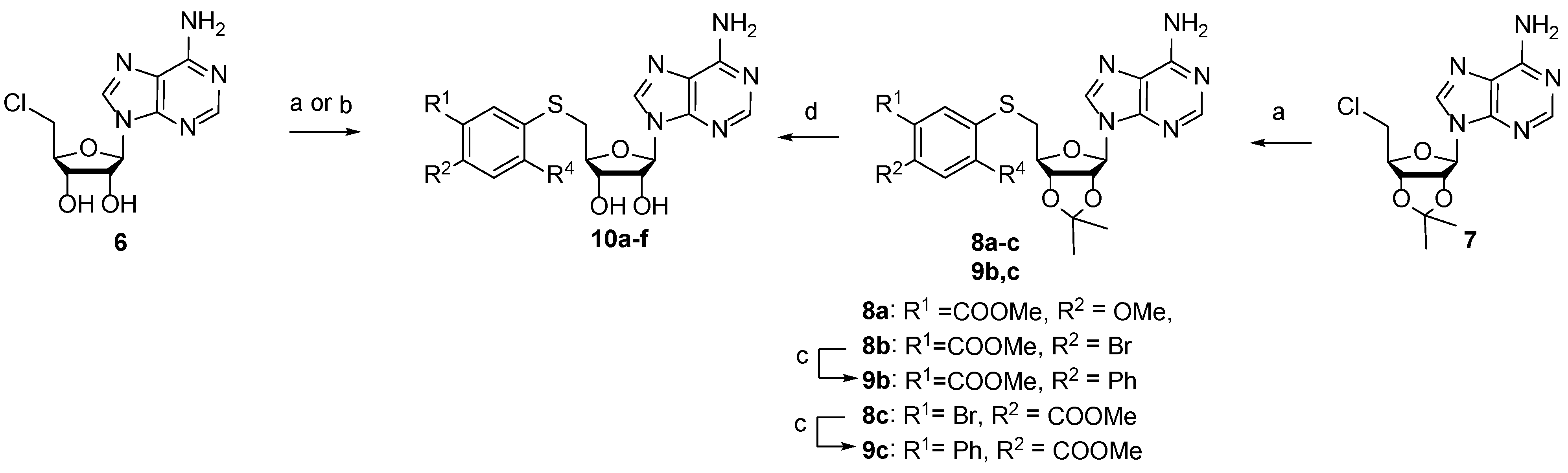 Molecules 28 00768 sch002 Molecules 28 00768 sch002