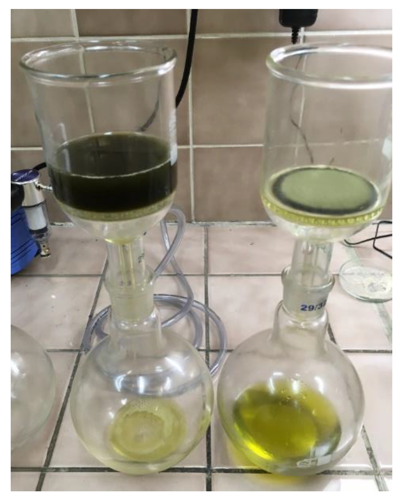 Molecules 28 00769 g006