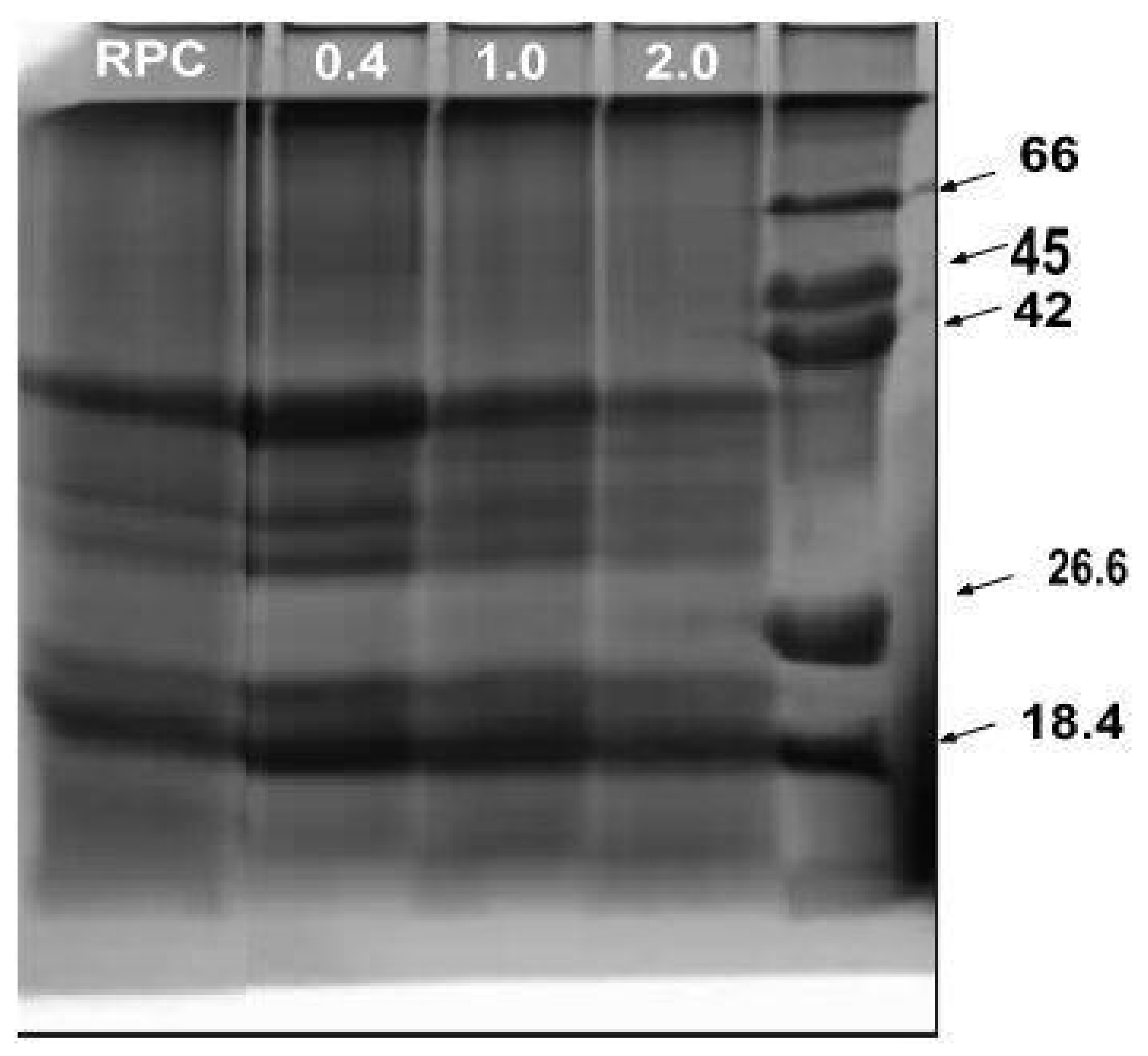 Molecules 28 00770 g005