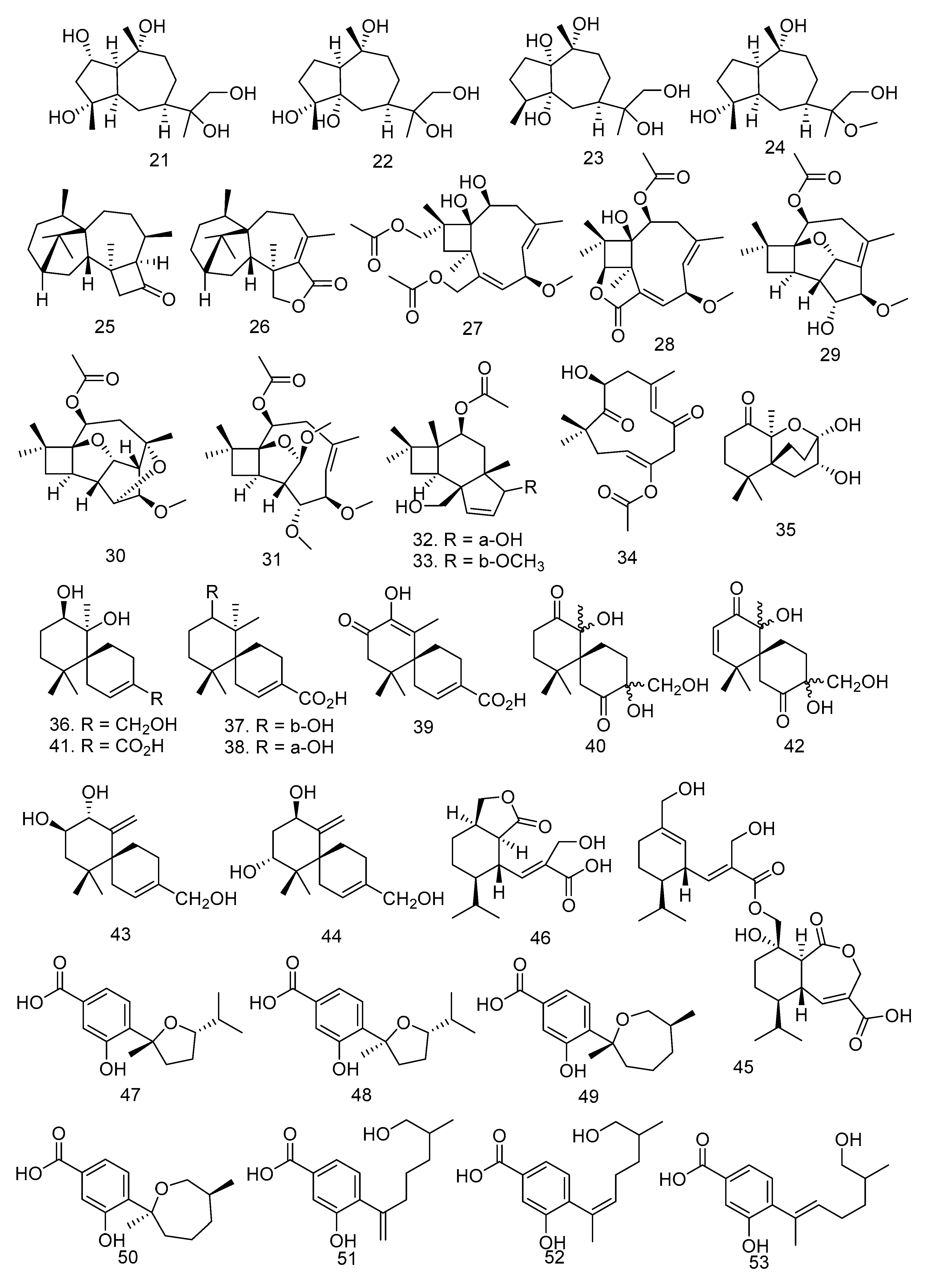Molecules 28 00778 g002b