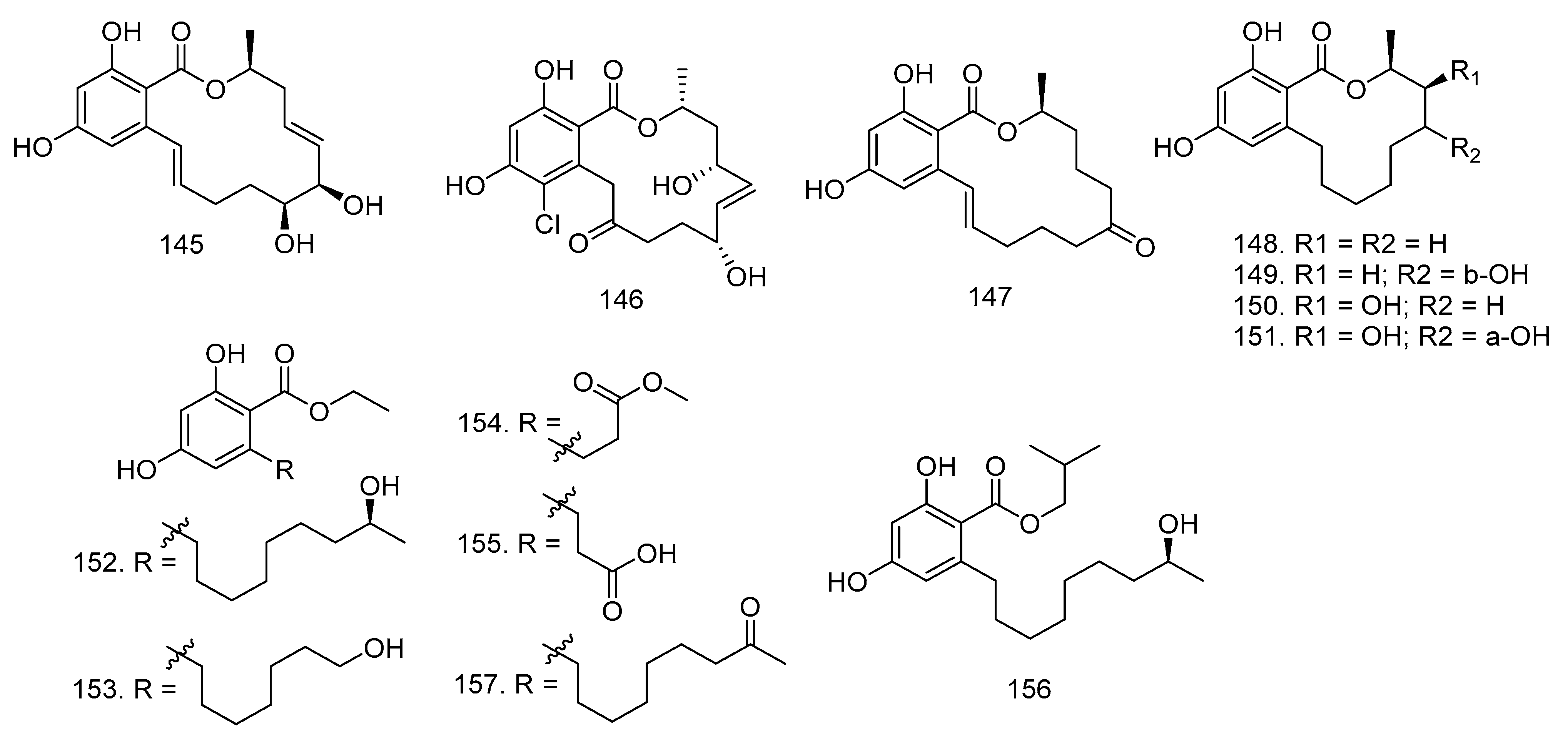 Molecules 28 00778 g008