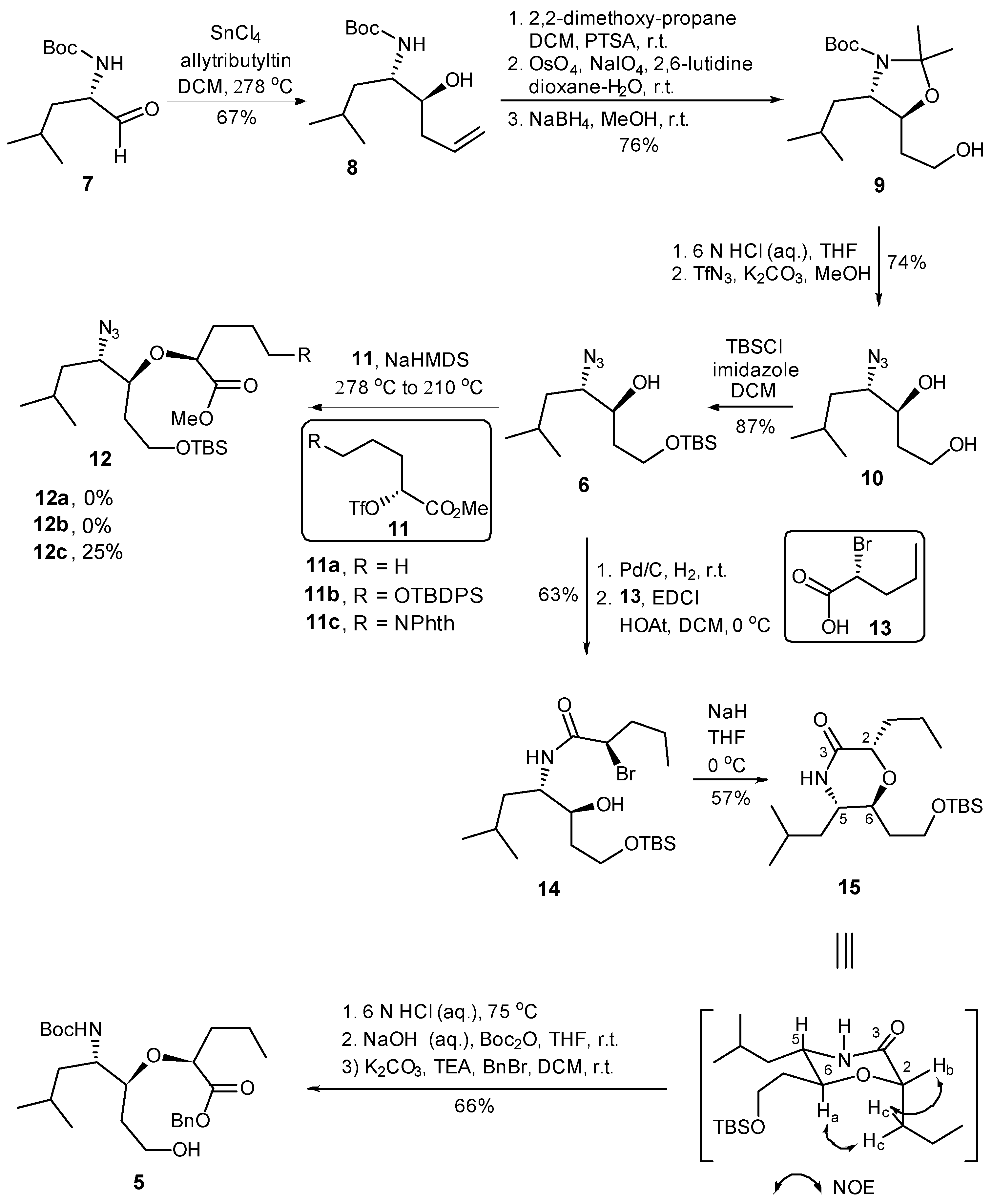 Molecules 28 00780 sch002