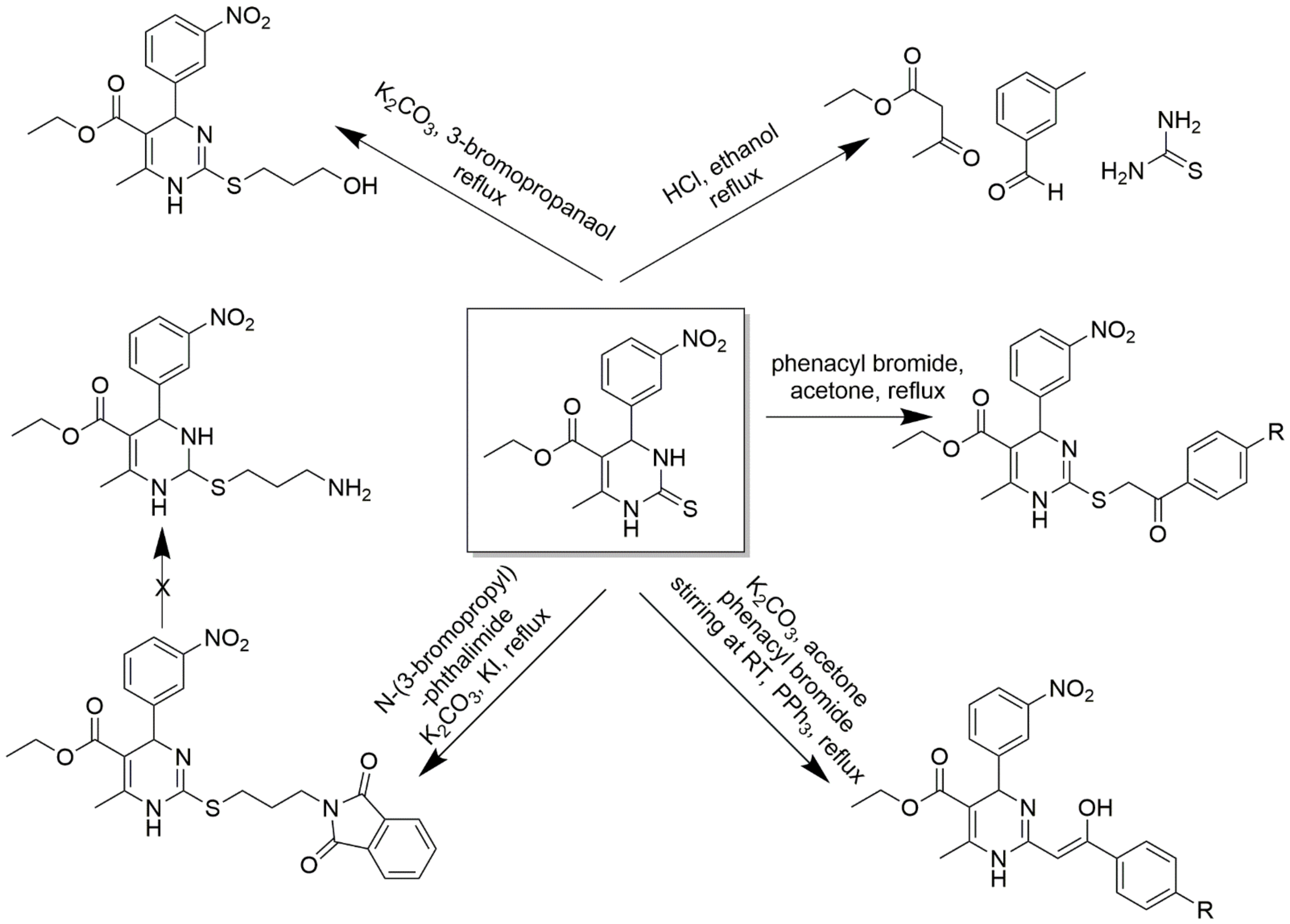 Molecules 28 00784 sch011