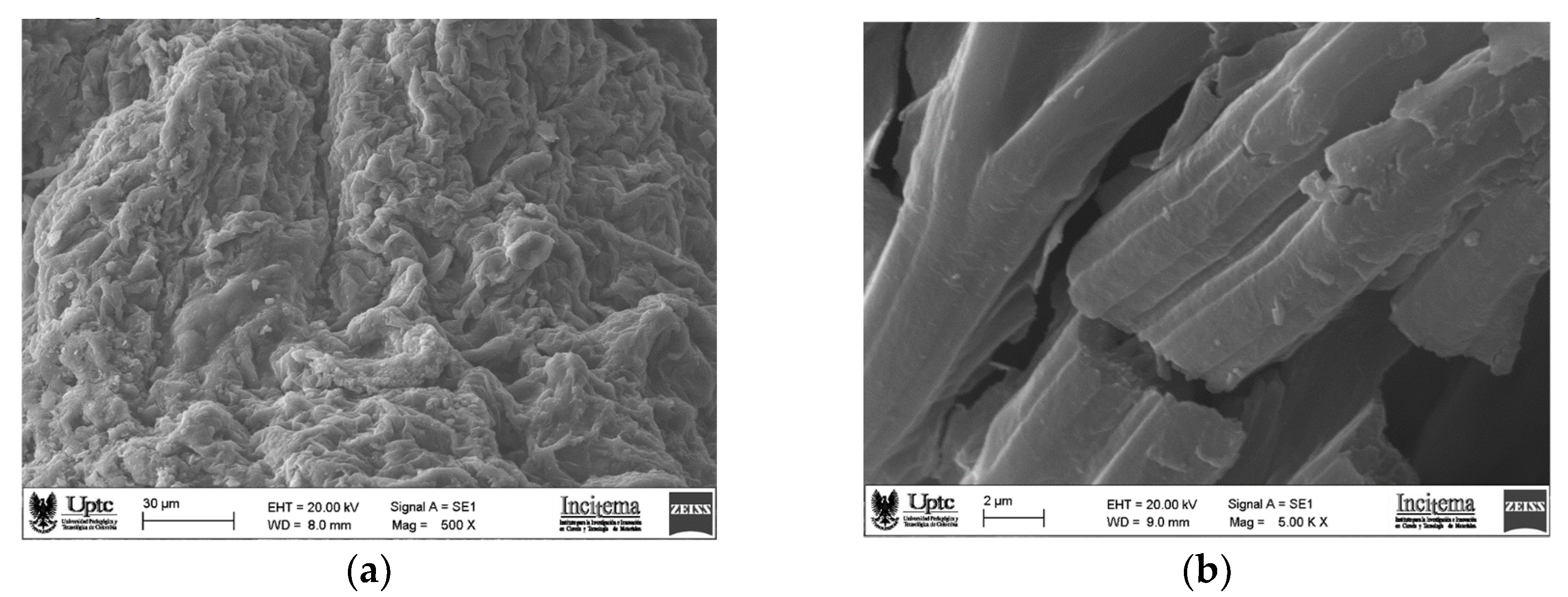 Molecules 28 00786 g005