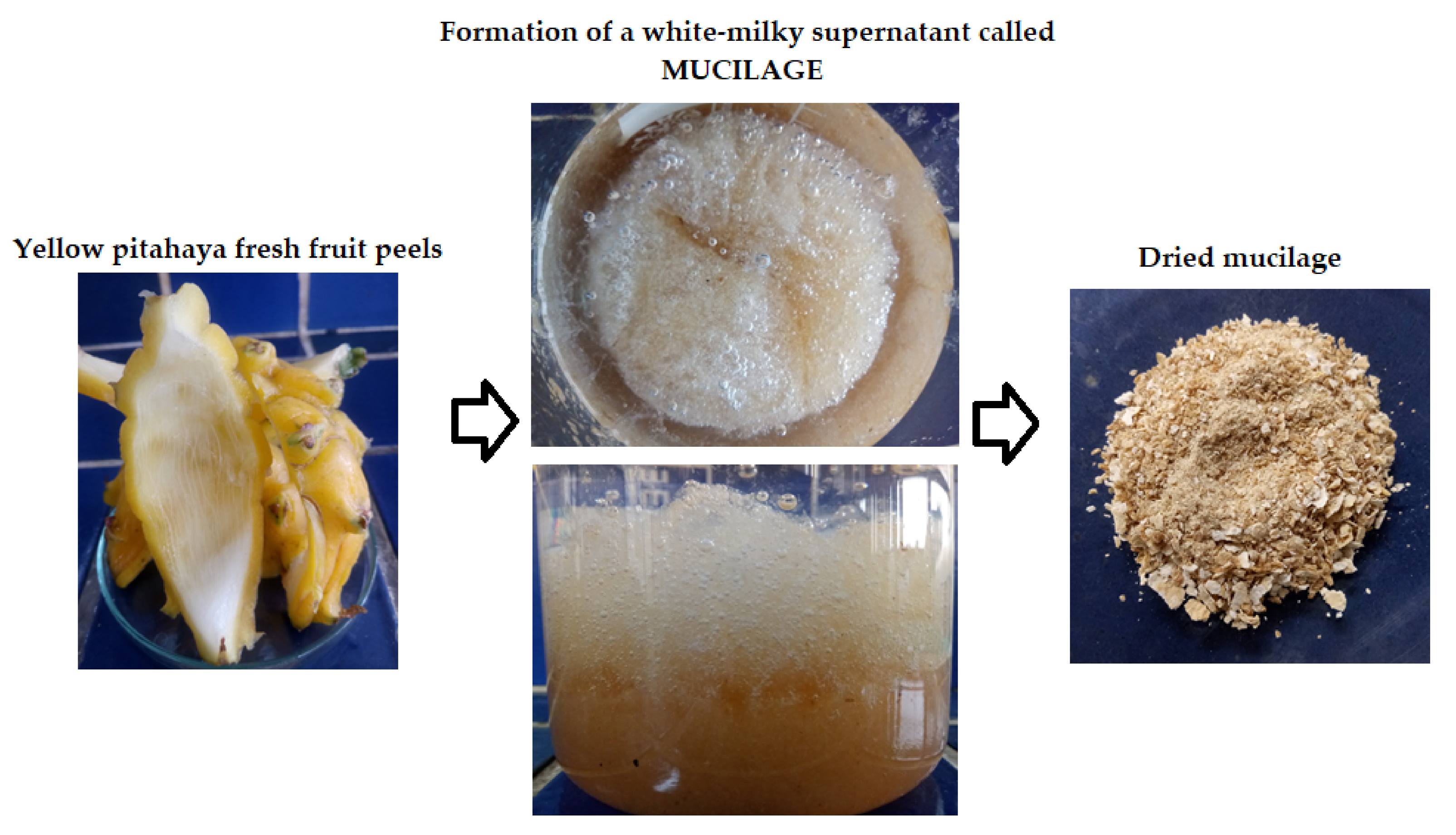 Molecules 28 00786 g007