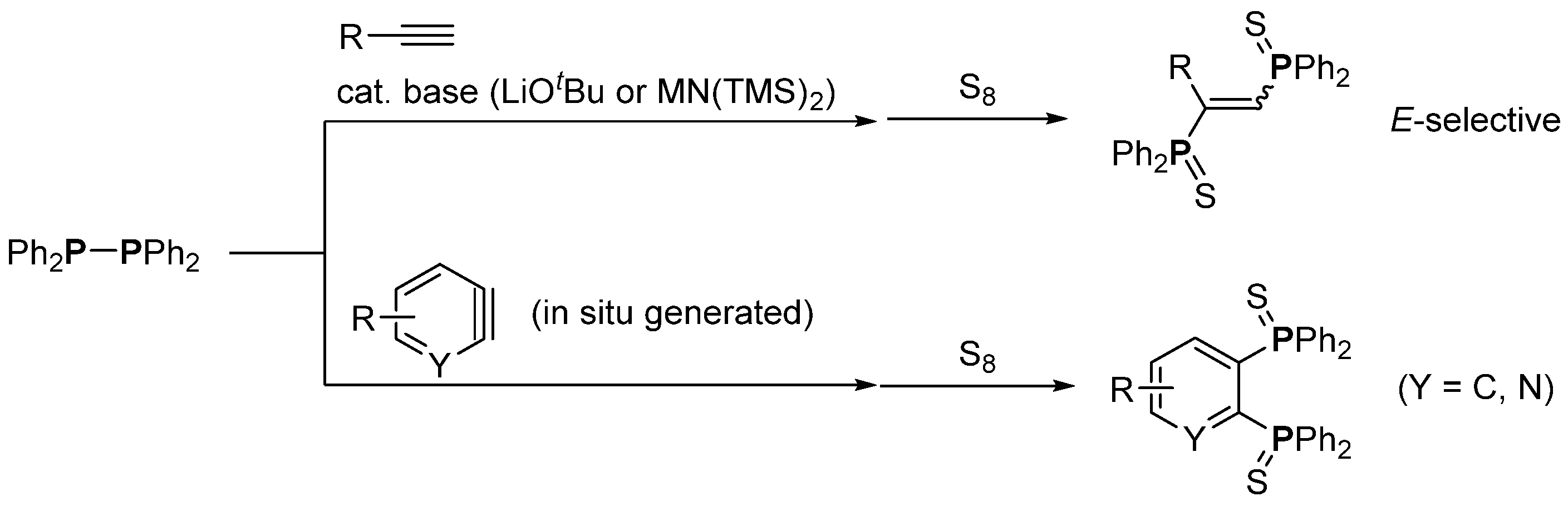 Molecules 28 00787 sch006