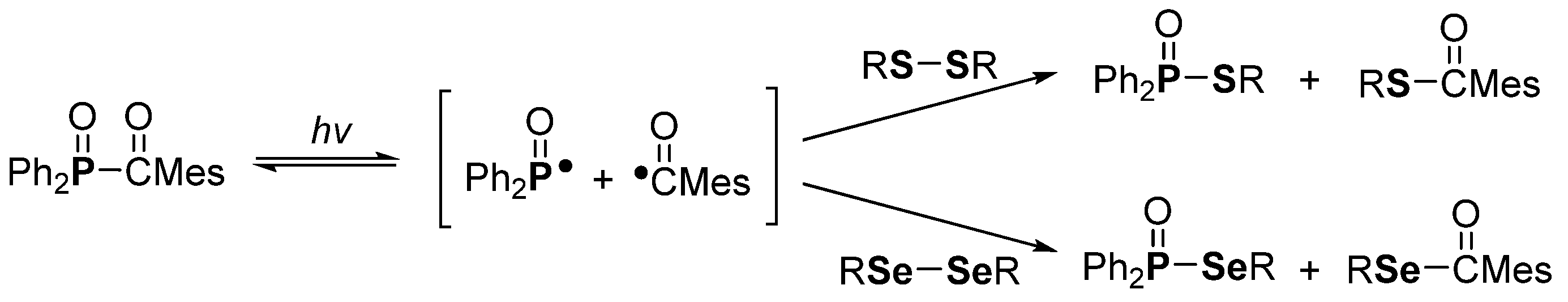 Molecules 28 00787 sch013