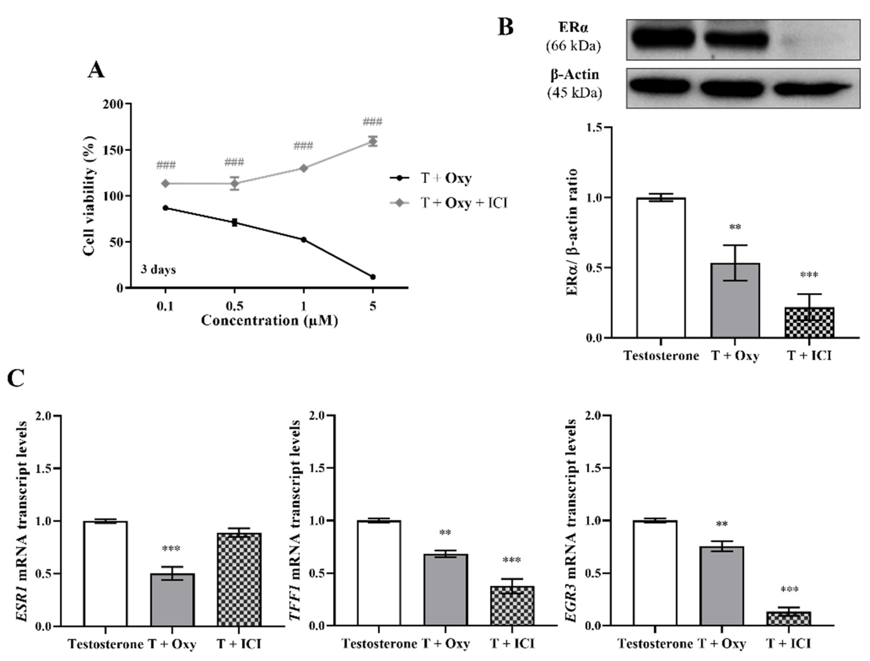 Molecules 28 00789 g005